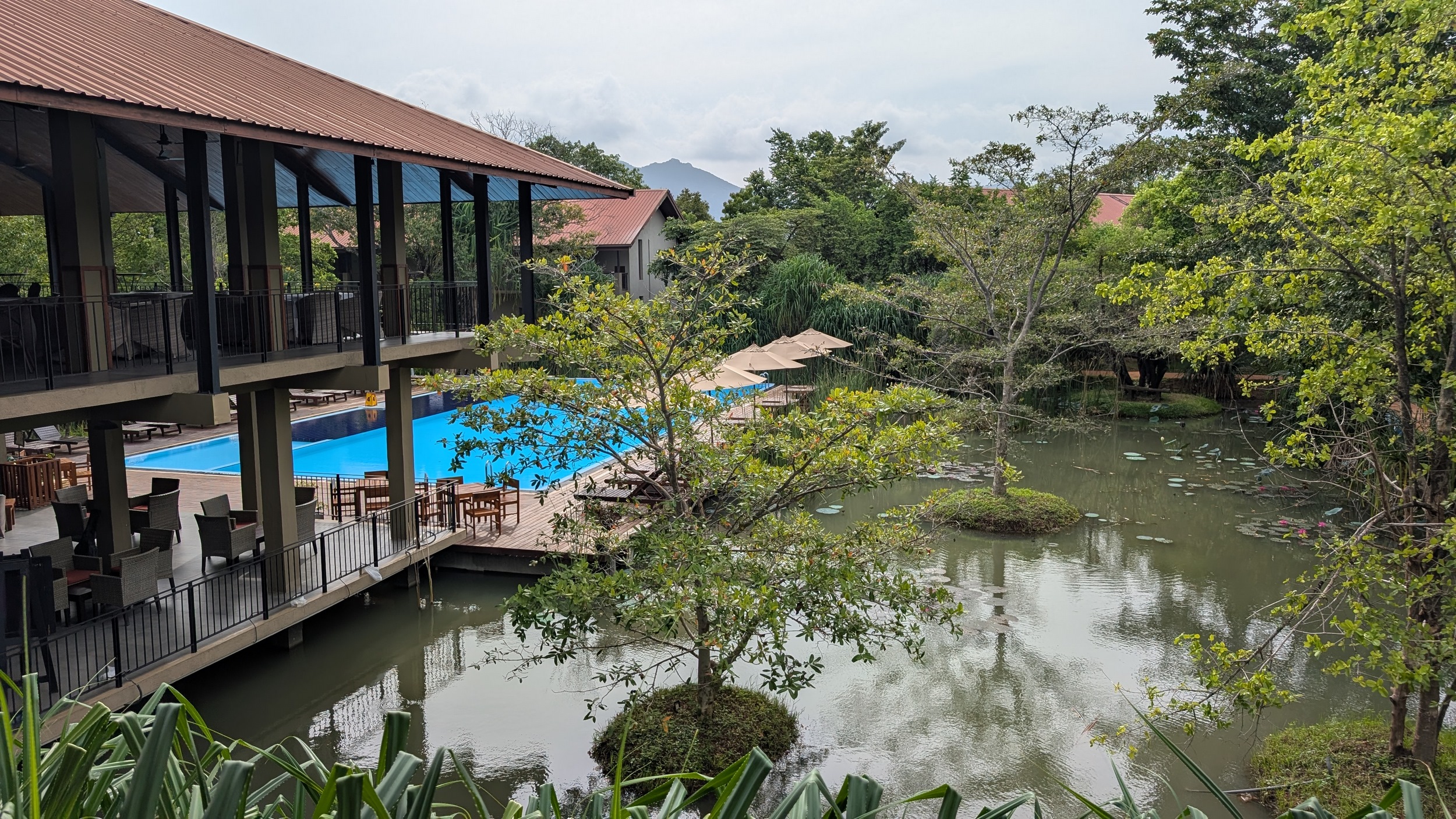 Blick auf den Hotelgarten und Pool beim Frühstück