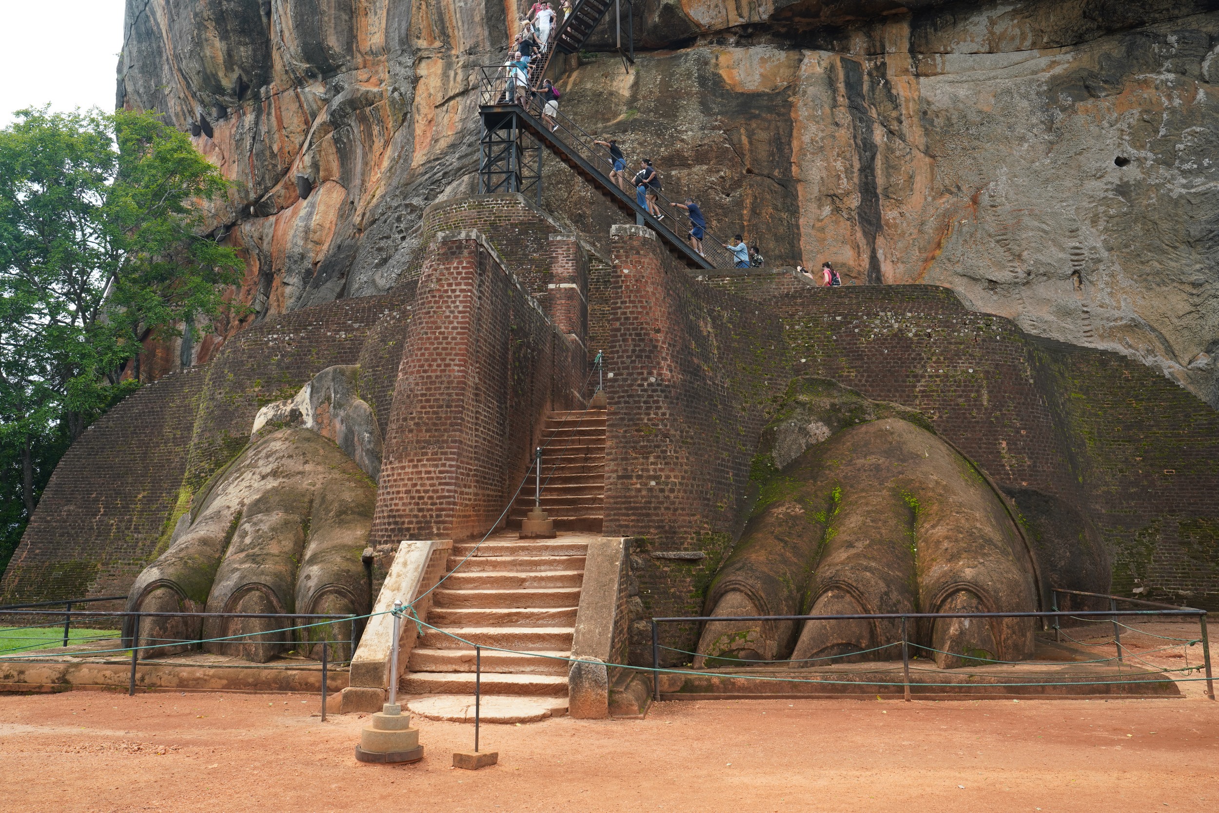 Die vom Löwen verbliebenen Pfoten