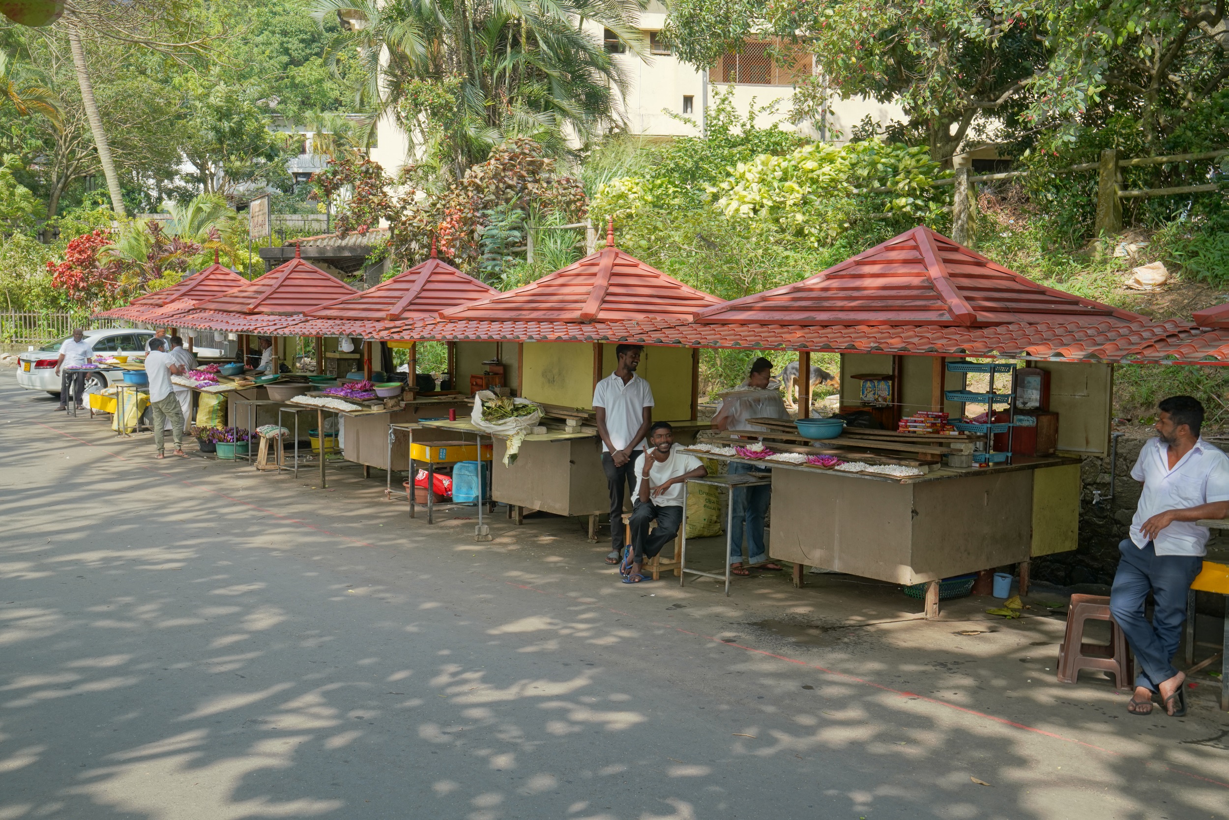Blumenverkäufer am Tempel