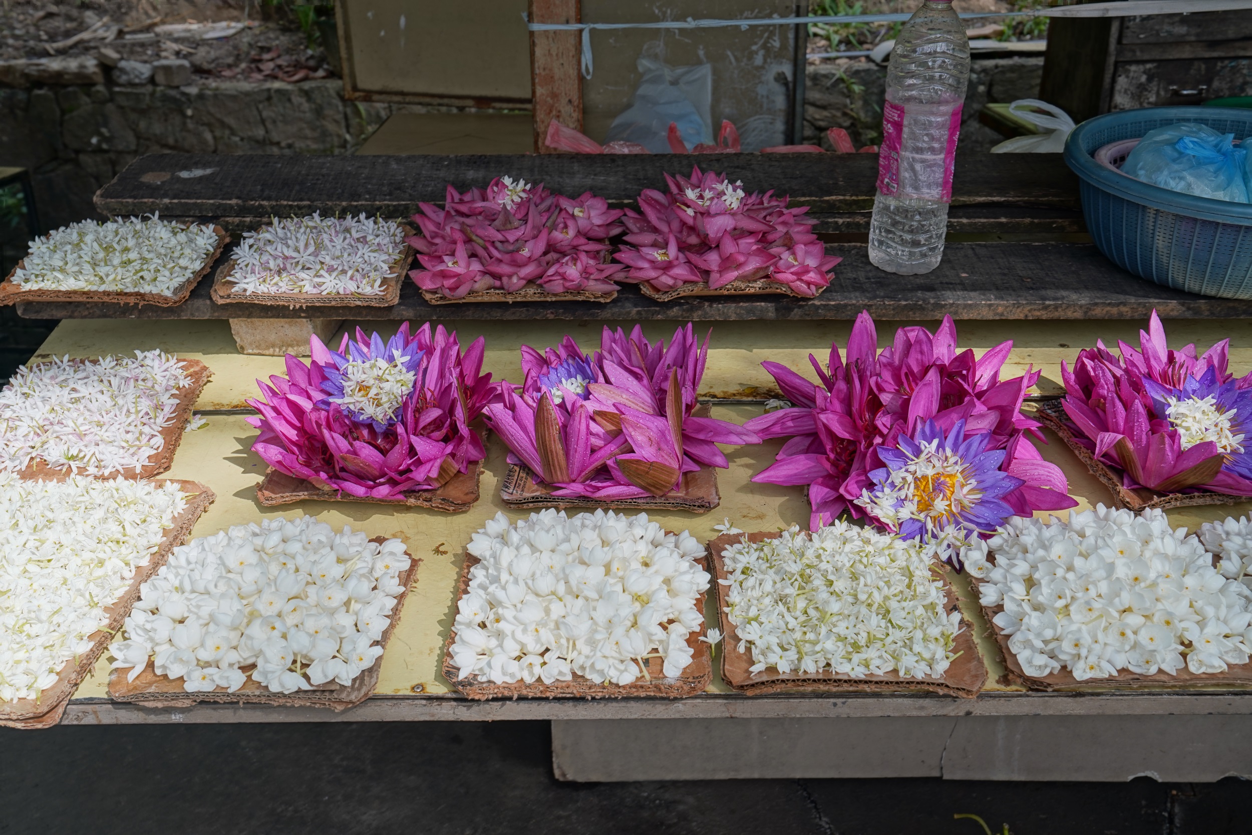 Blumen als Opfergaben