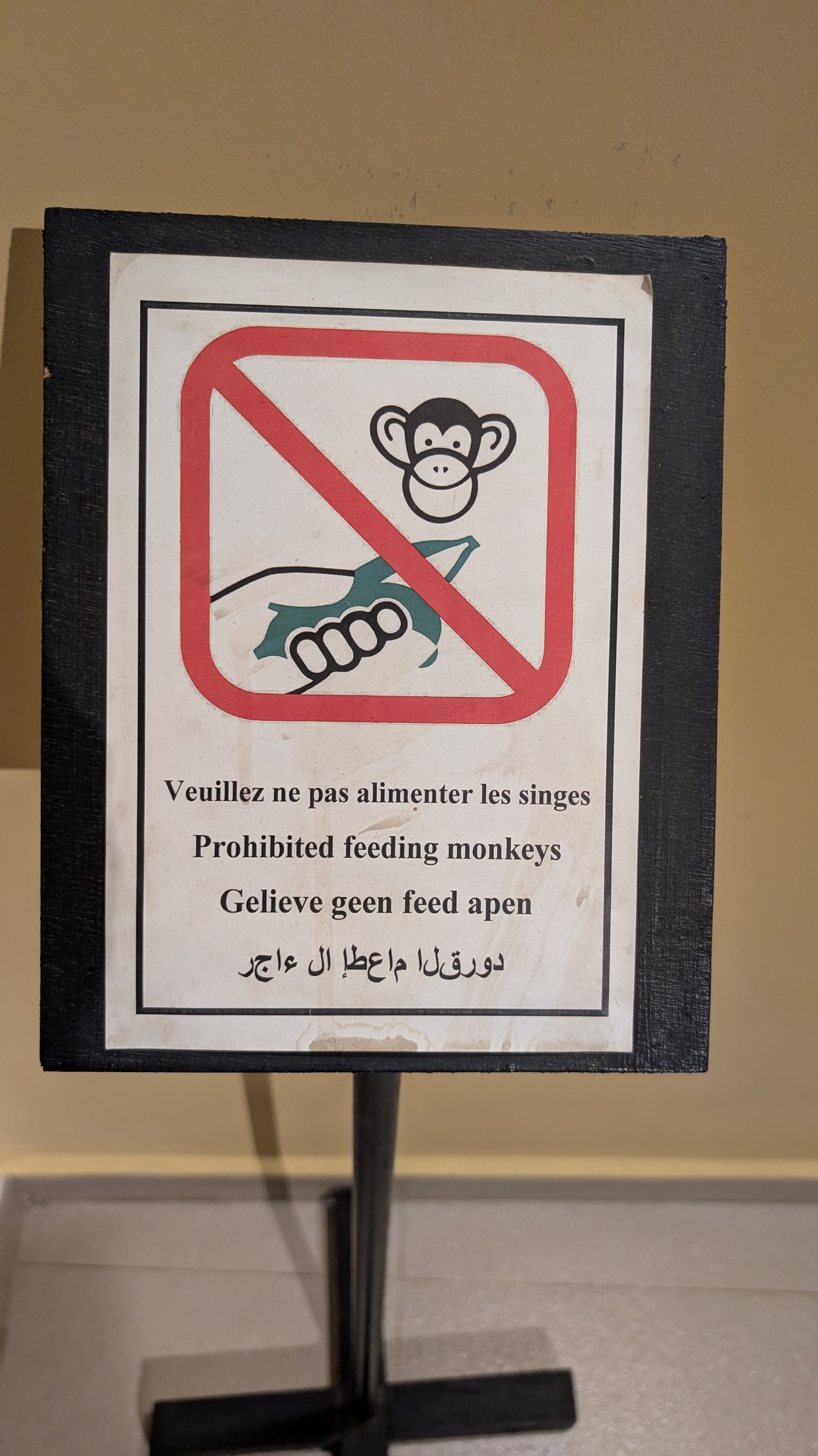 Wer von uns beiden da wohl kein Frühstück bekommen hat?