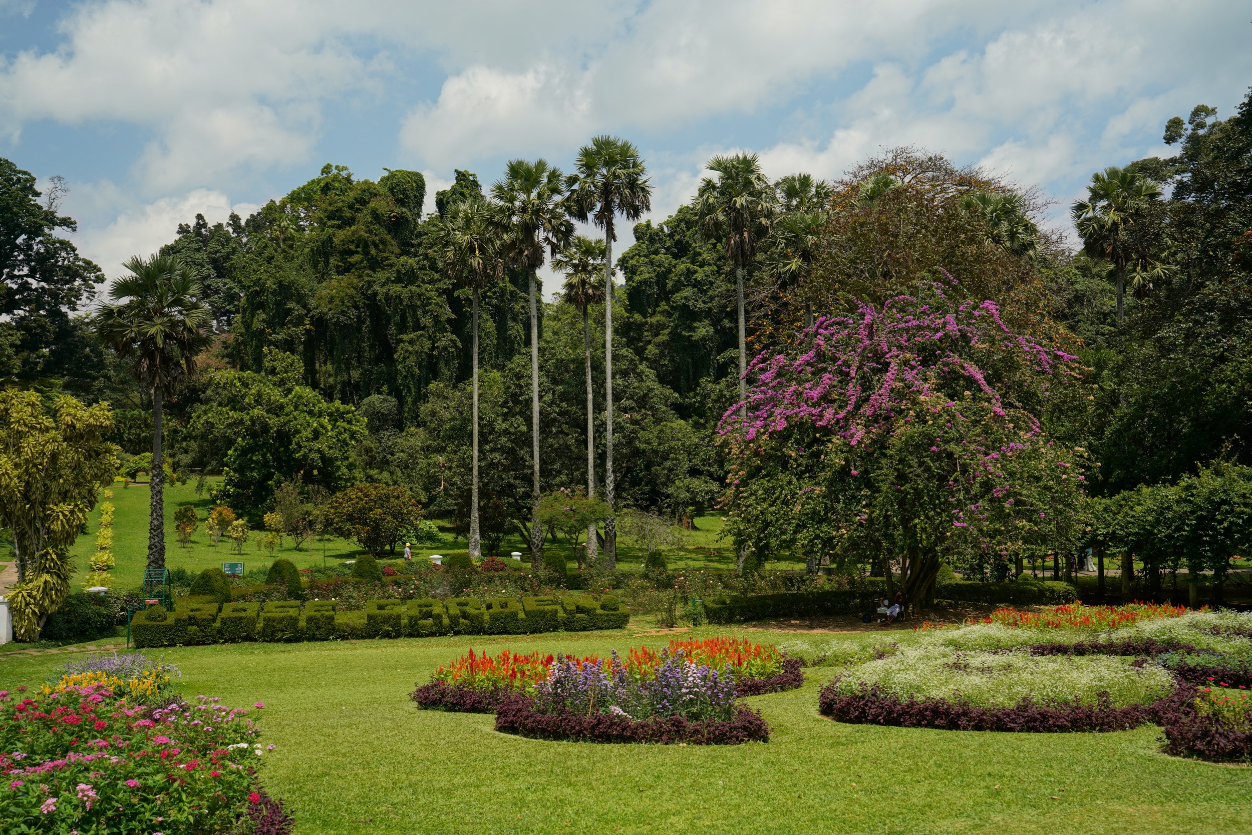 Mehr botanischer Garten