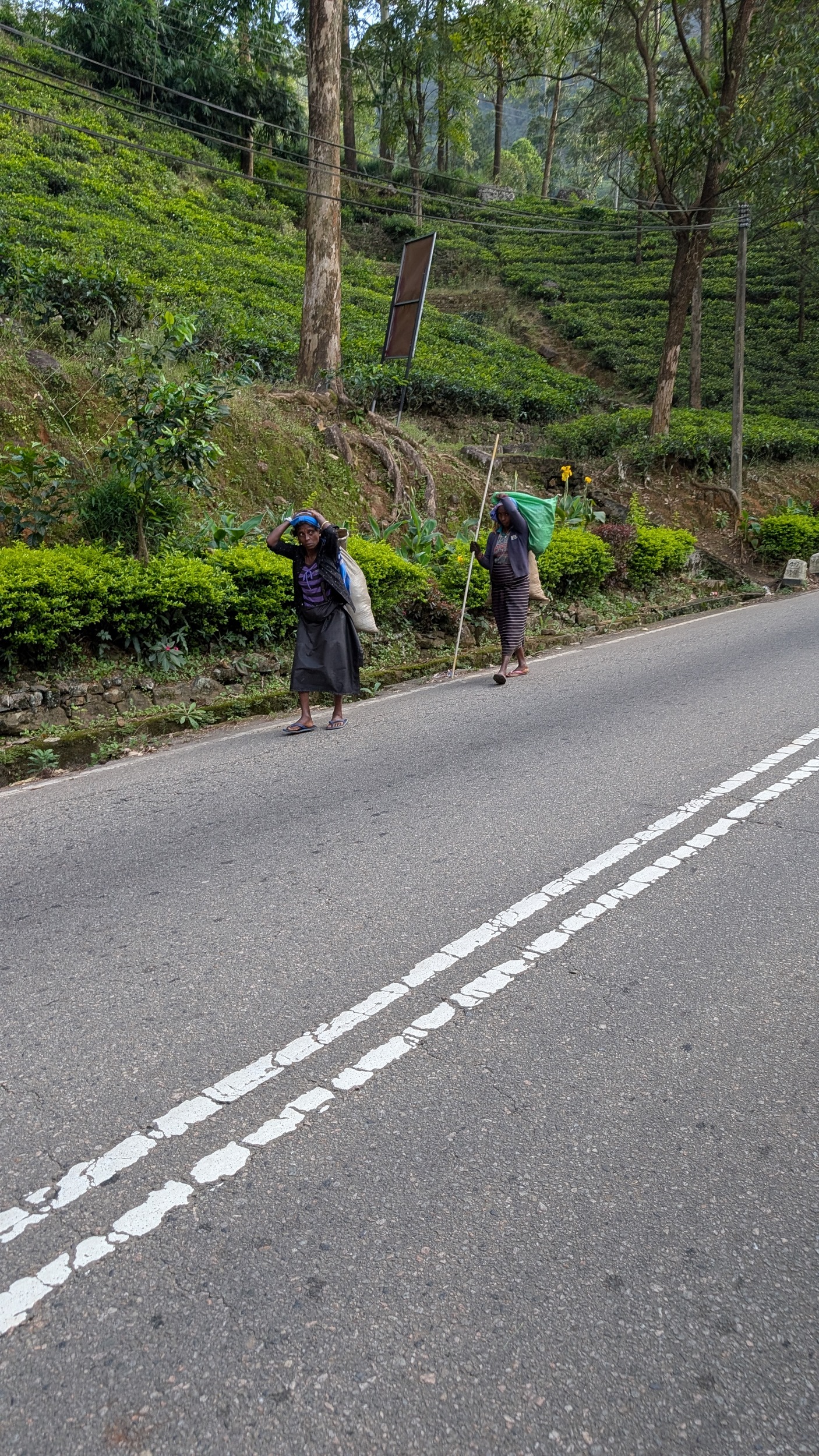 Da wird die Ernte eingebracht