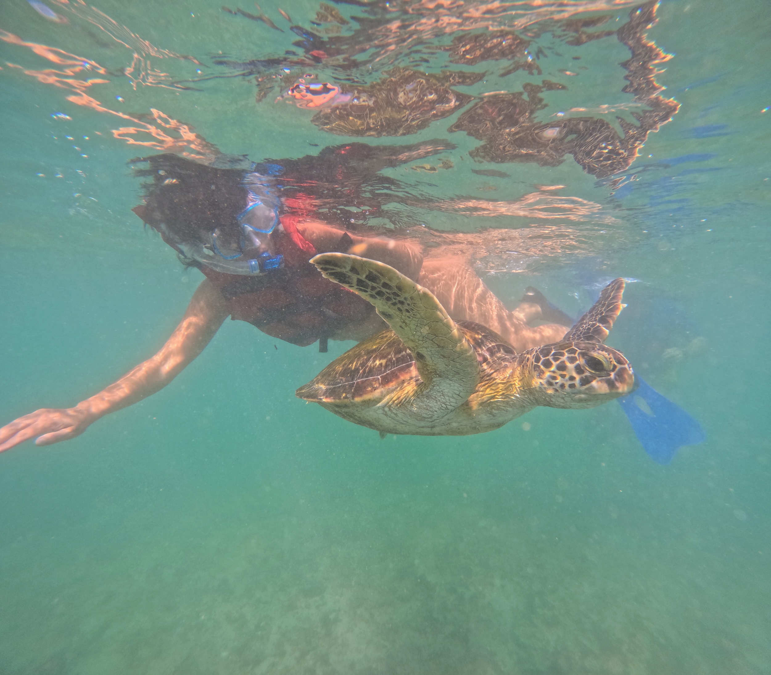 Eva mit Schildkröten