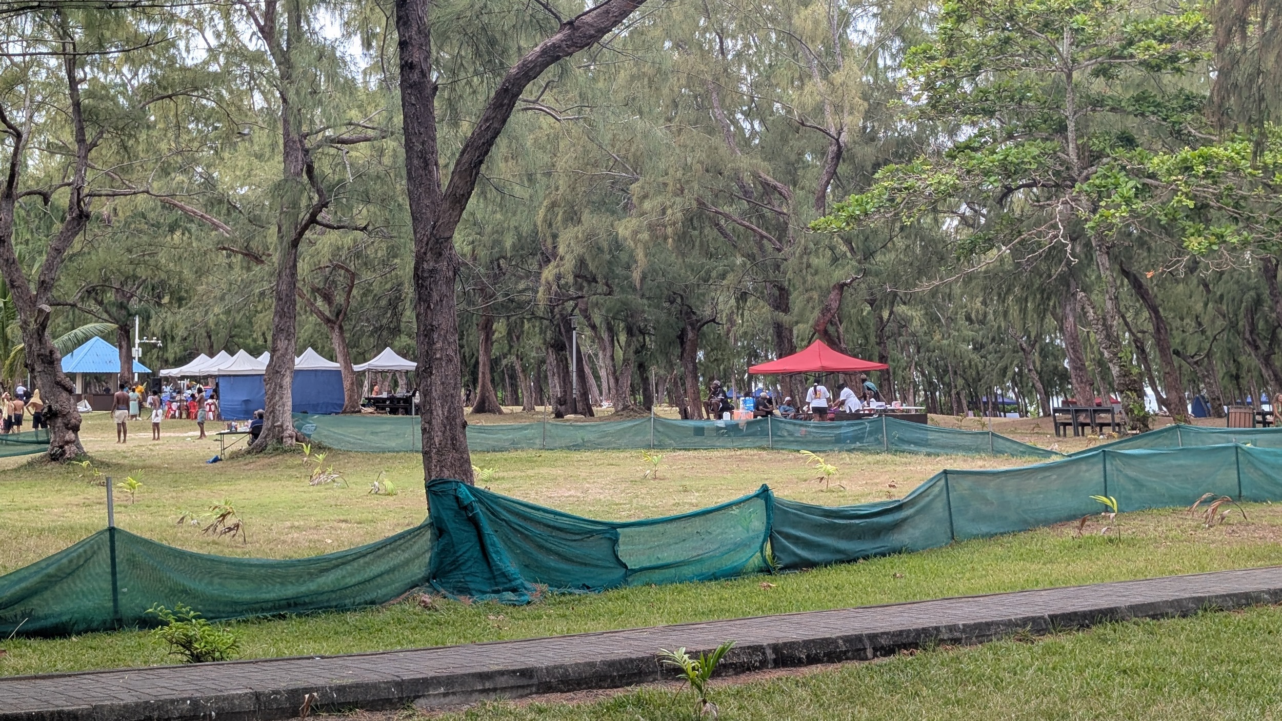 Und in dem dahinter liegenden Picknickbereich auch