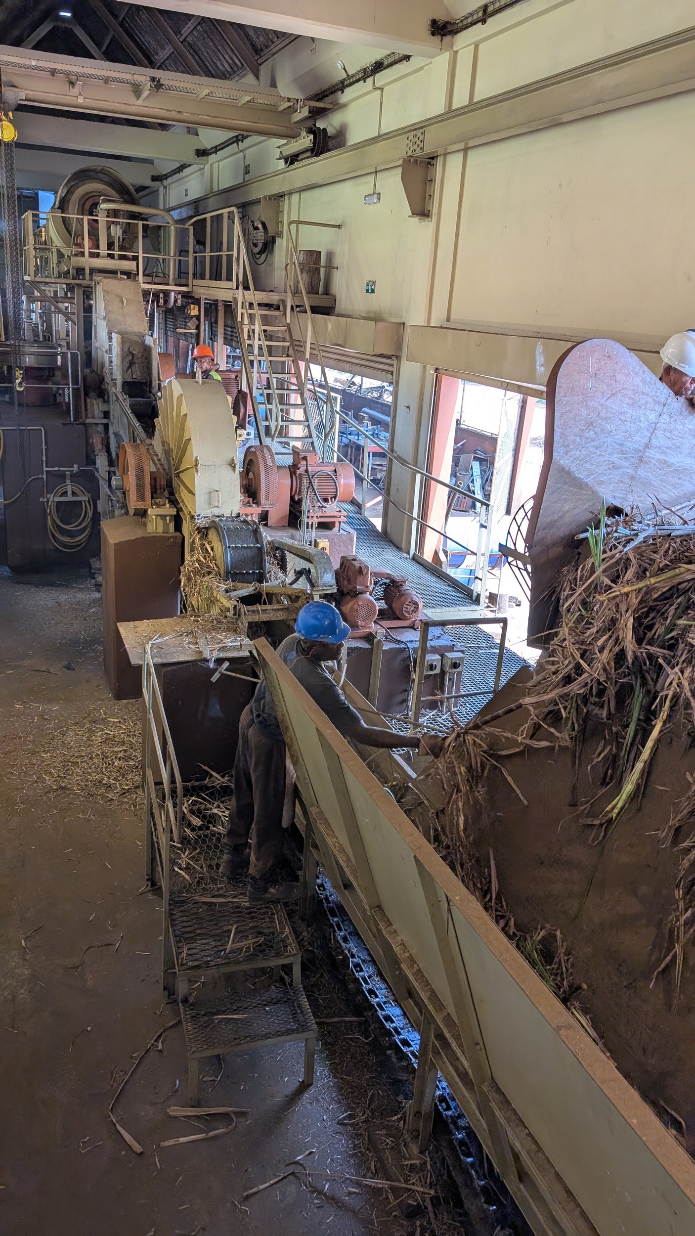 Anlieferung und Zerkleinern des Zuckerrohr