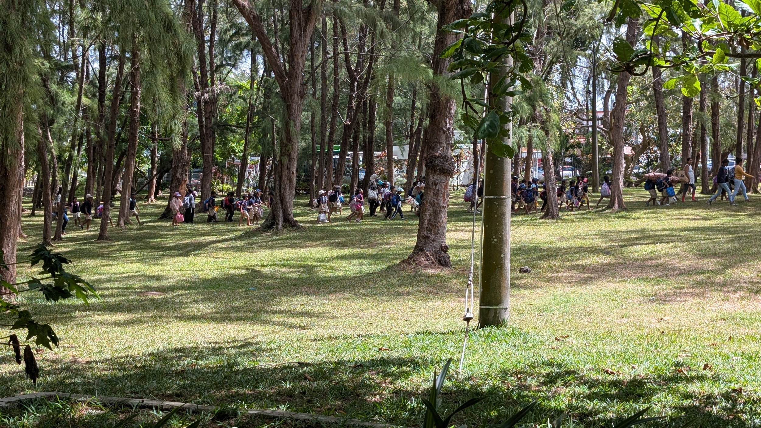Der Kindergartenausflug im Picknickwäldchen am Strand ist beendet