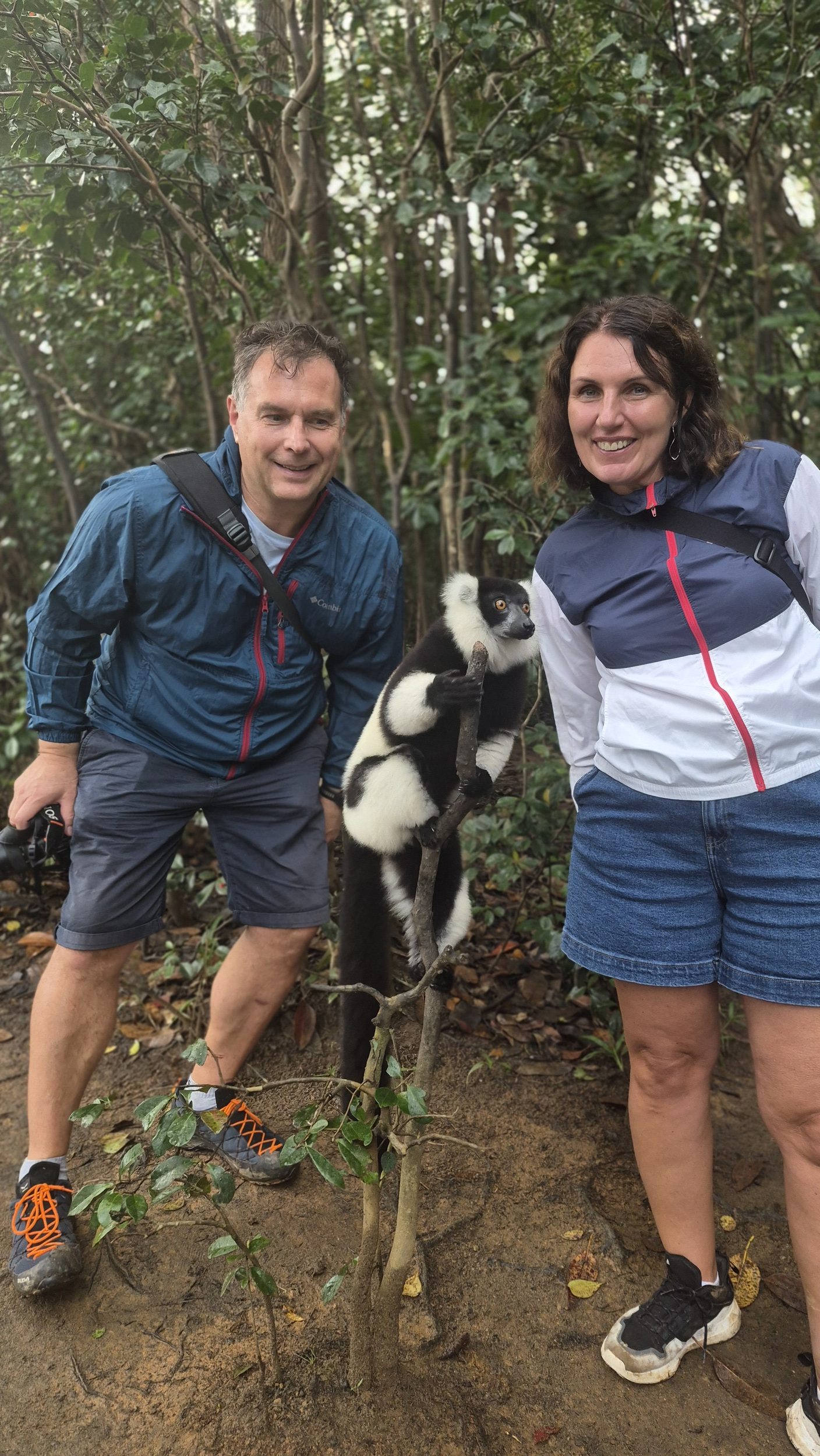 Bild mit Lemur :-)