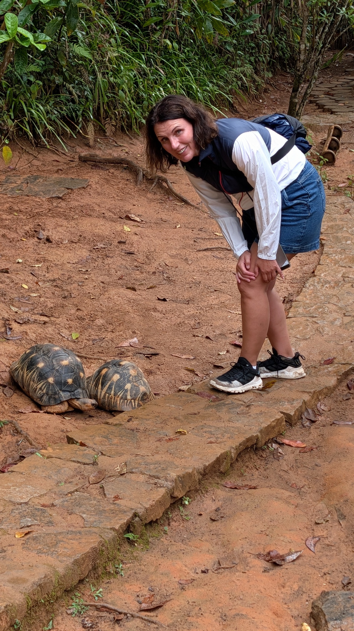 Madagaskar Landschildkröte