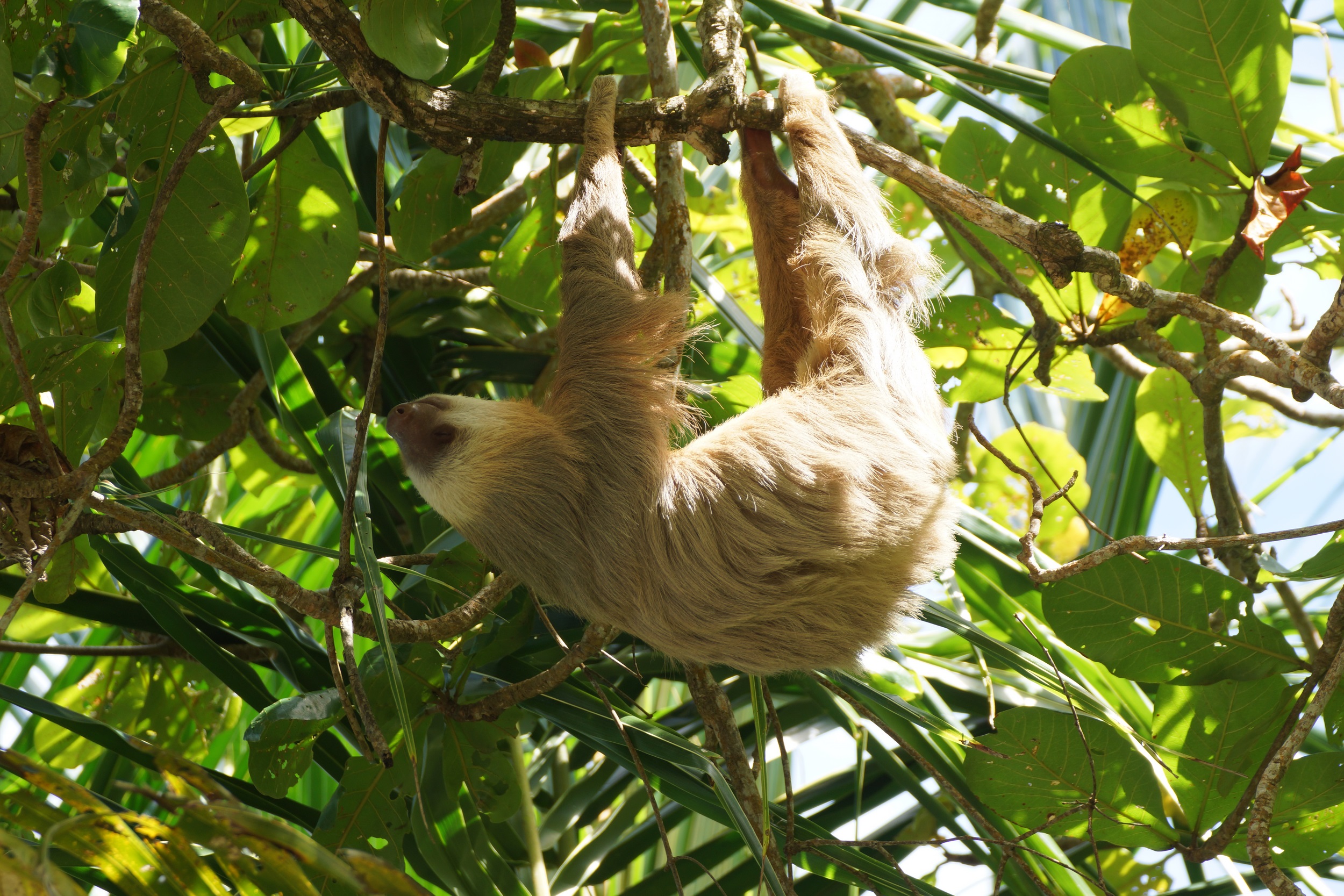Entdeckt von Spotterin Eva
