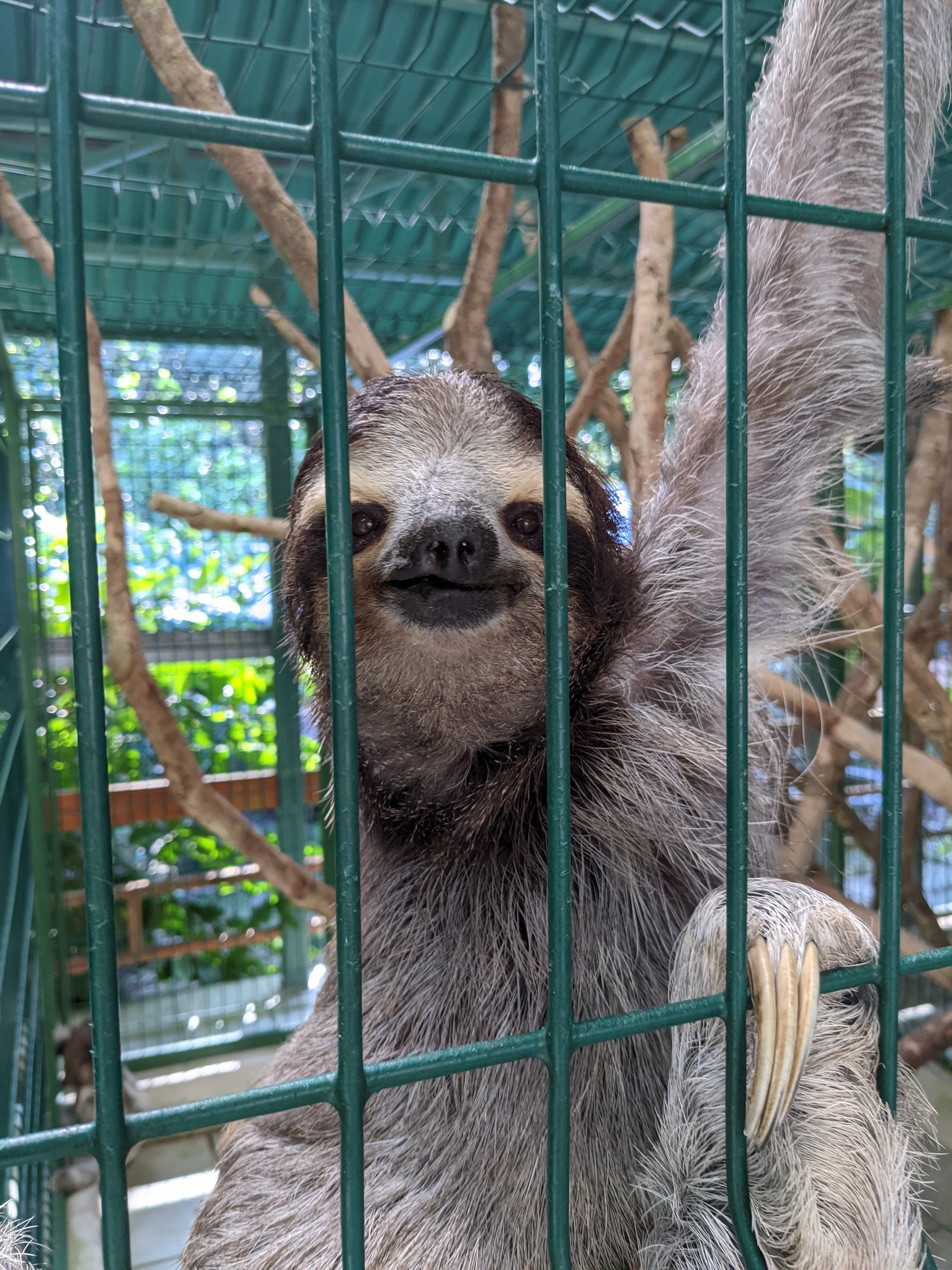 Der atmet nur gesiebte Luft, leider