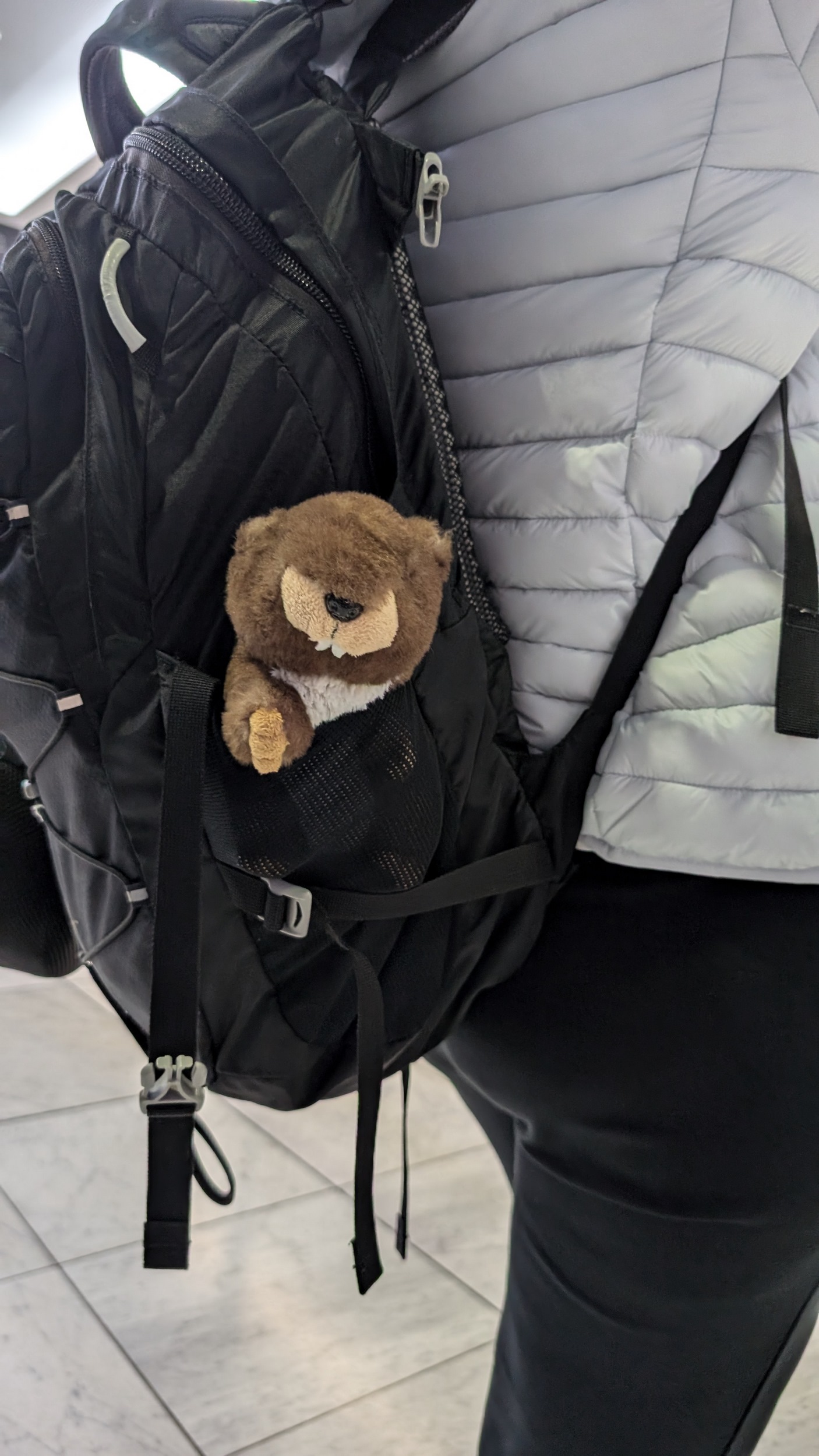 Arthur vervollständigt die kleine Reisegruppe