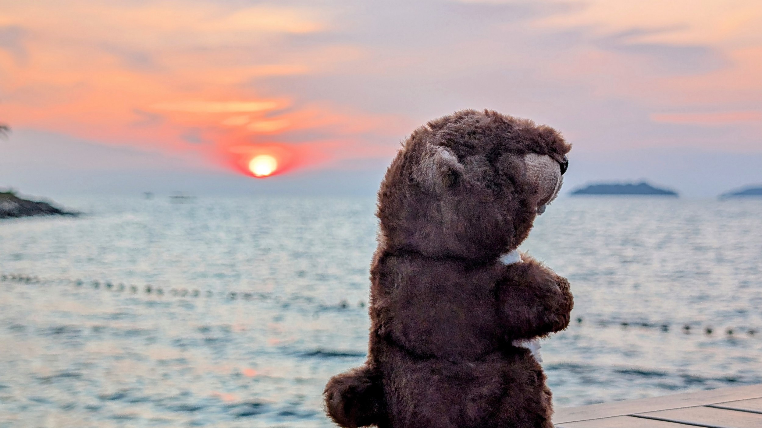 Arthur geniesst den Sonnenuntergang am Meer