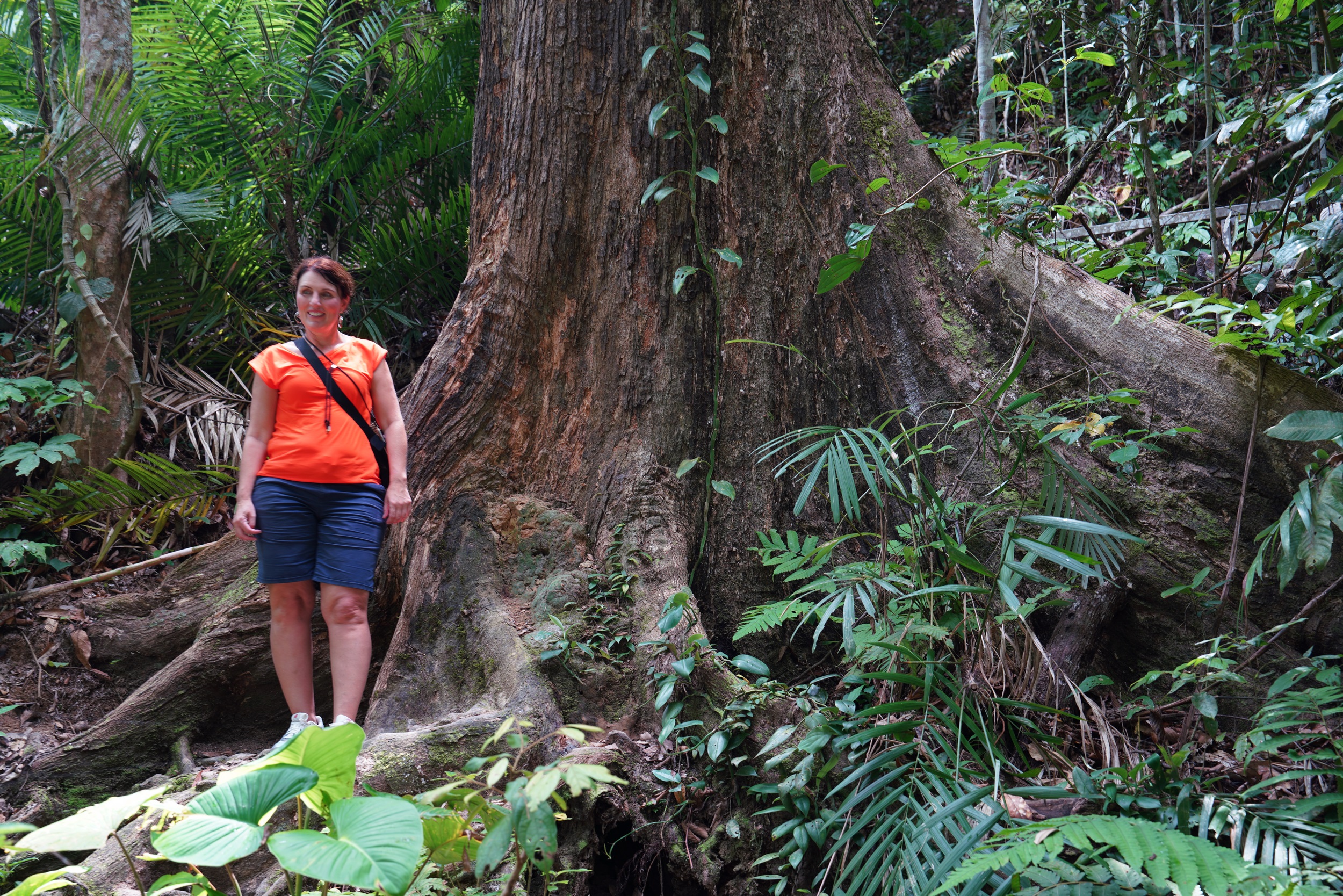 Eva neben einem Baum im Primärregenwald