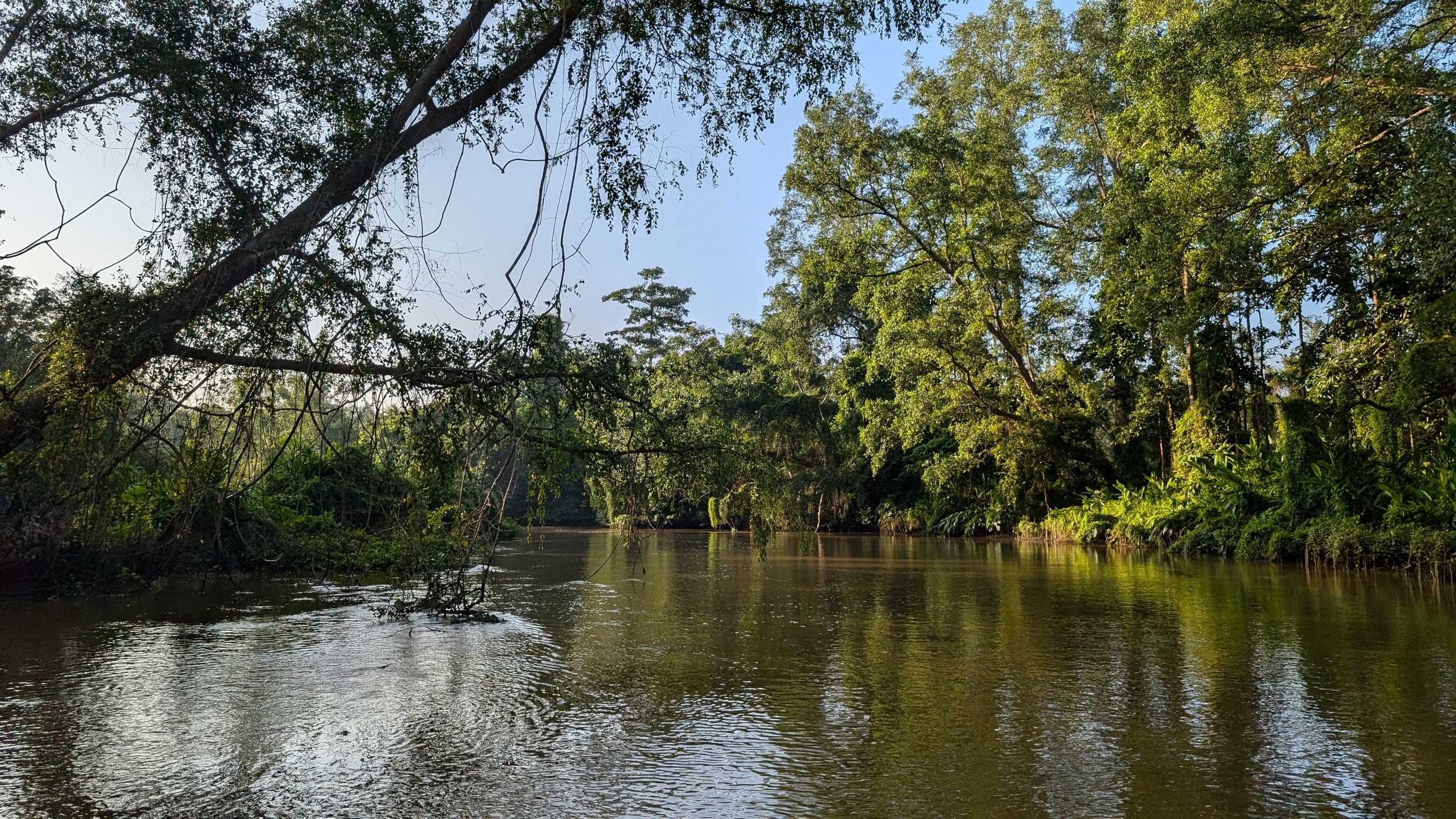 Unterwegs auf dem toten Arm