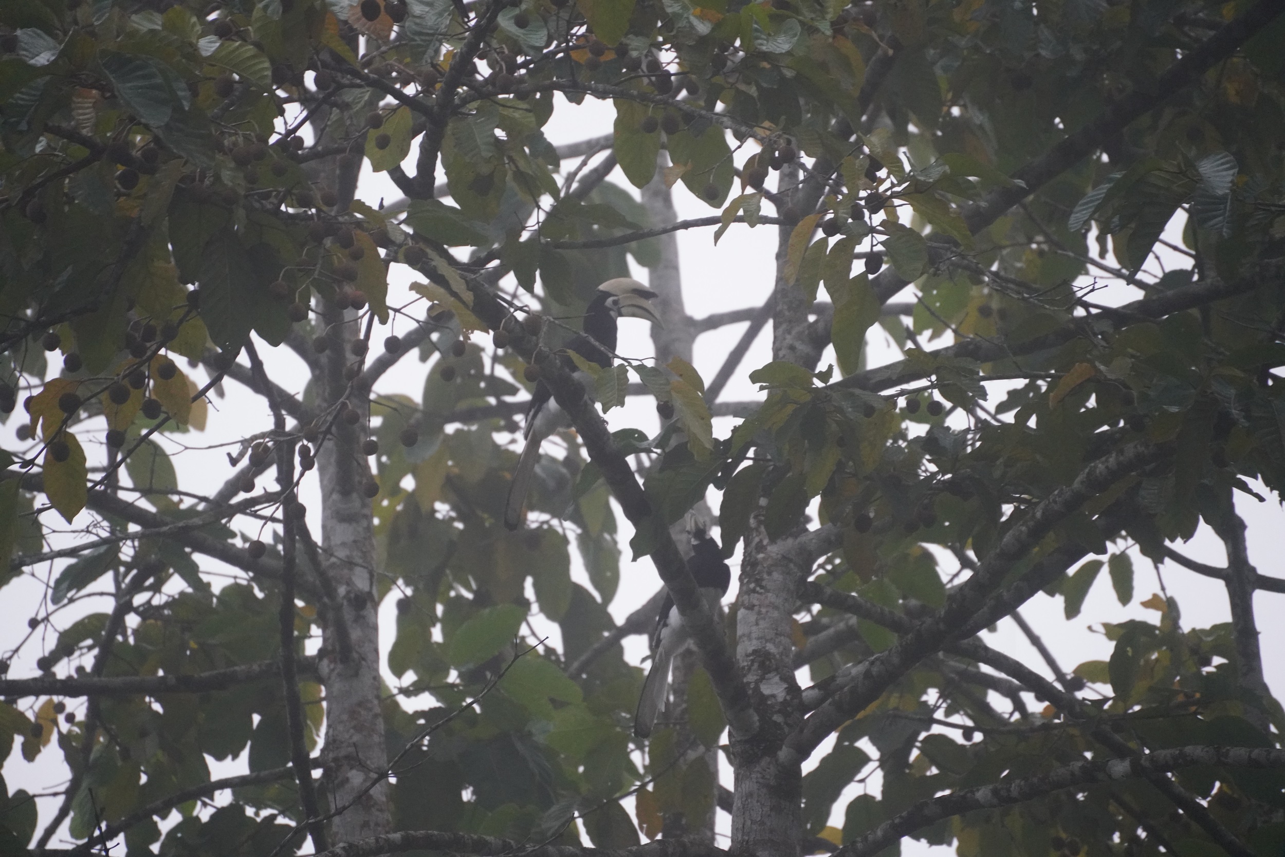 Morgens halb sechs in der Lodge