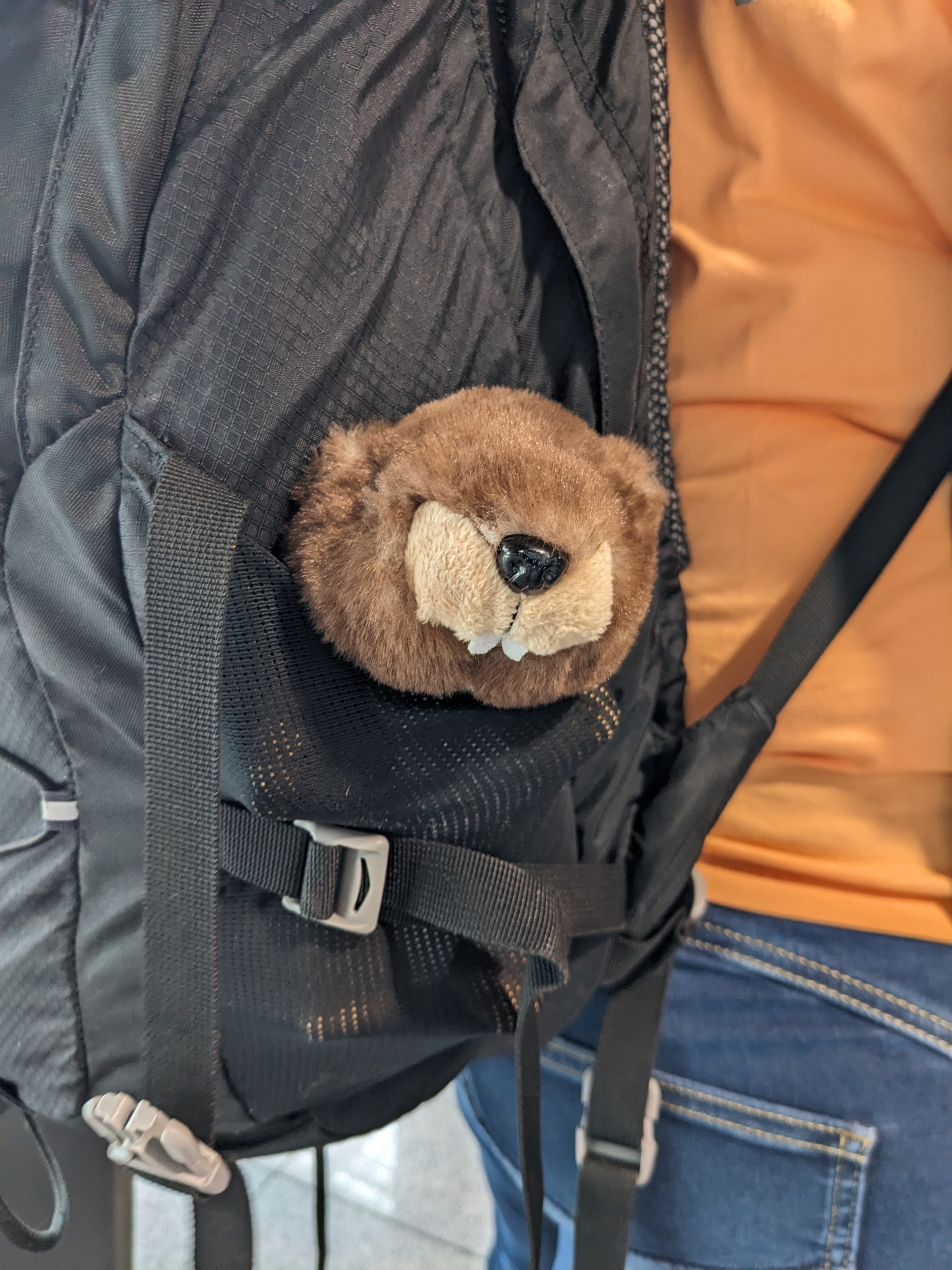 Arthur ist mit dabei