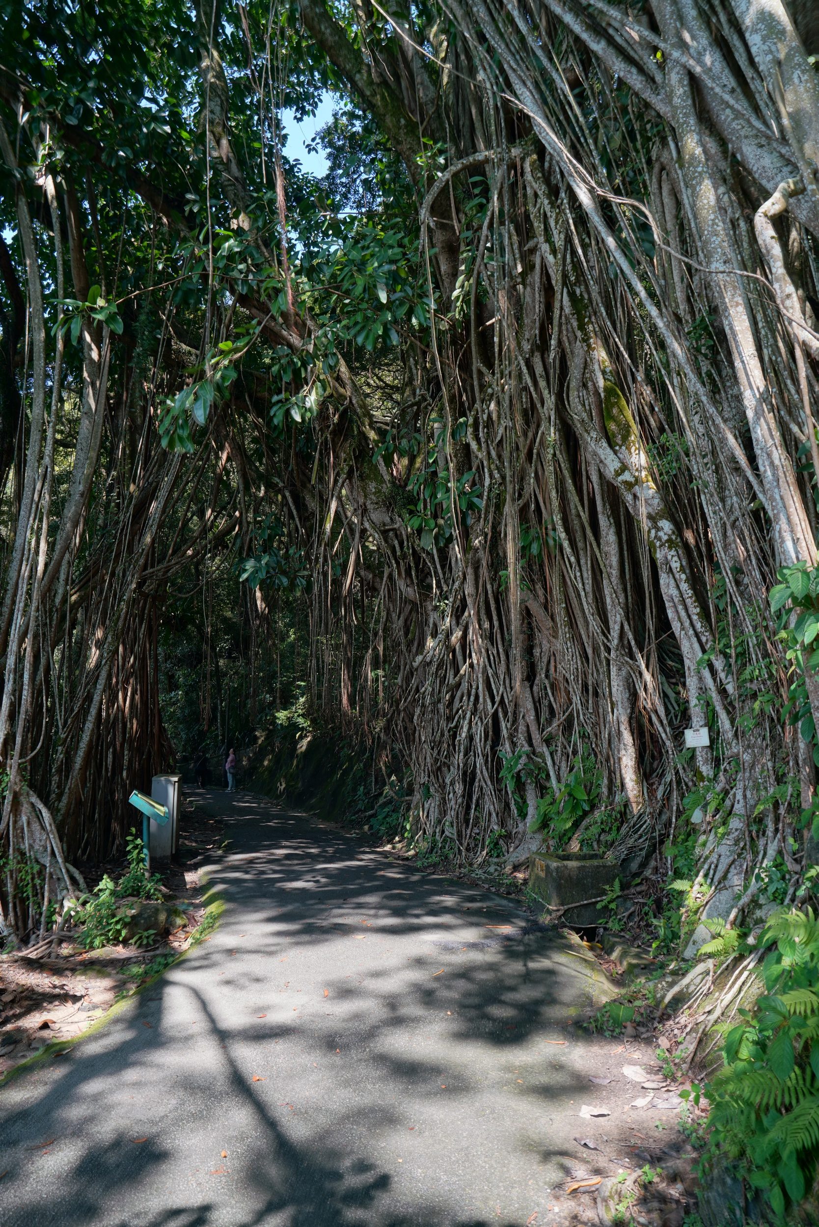 Sabbatical 2 Blog 025