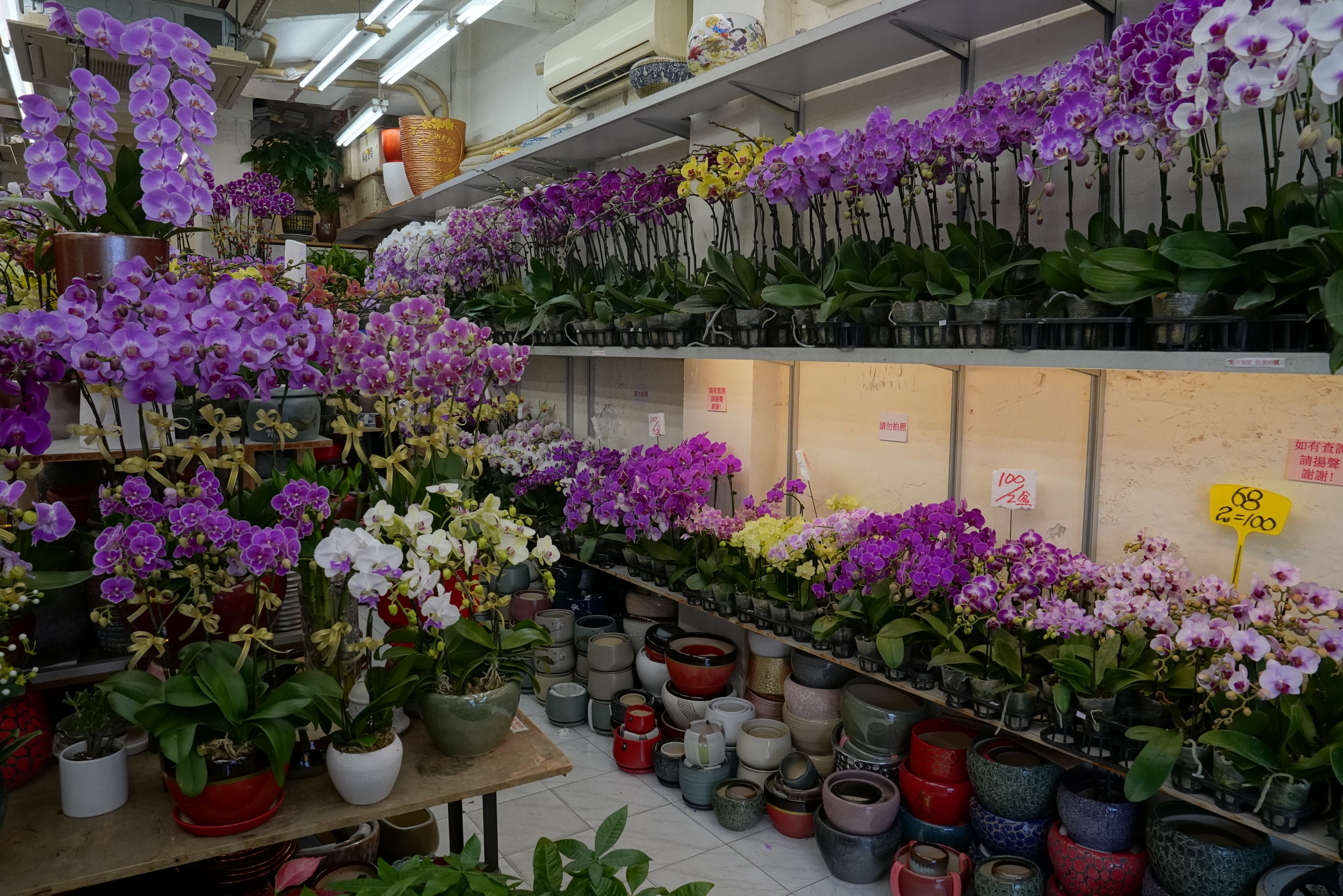 Sabbatical 2 Blog 028