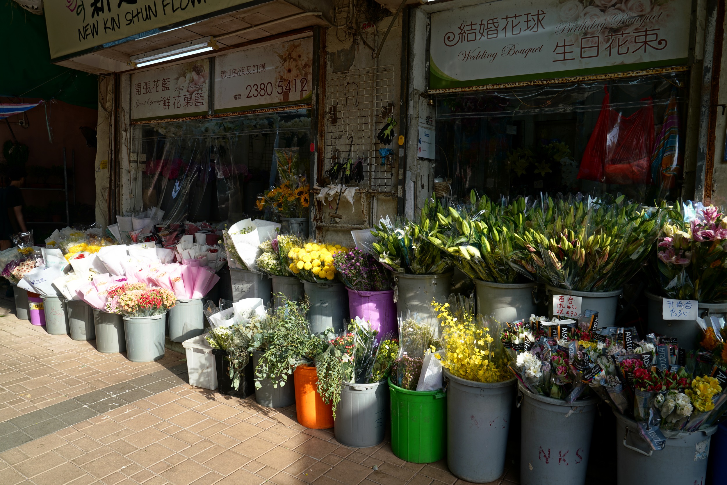 Sabbatical 2 Blog 029