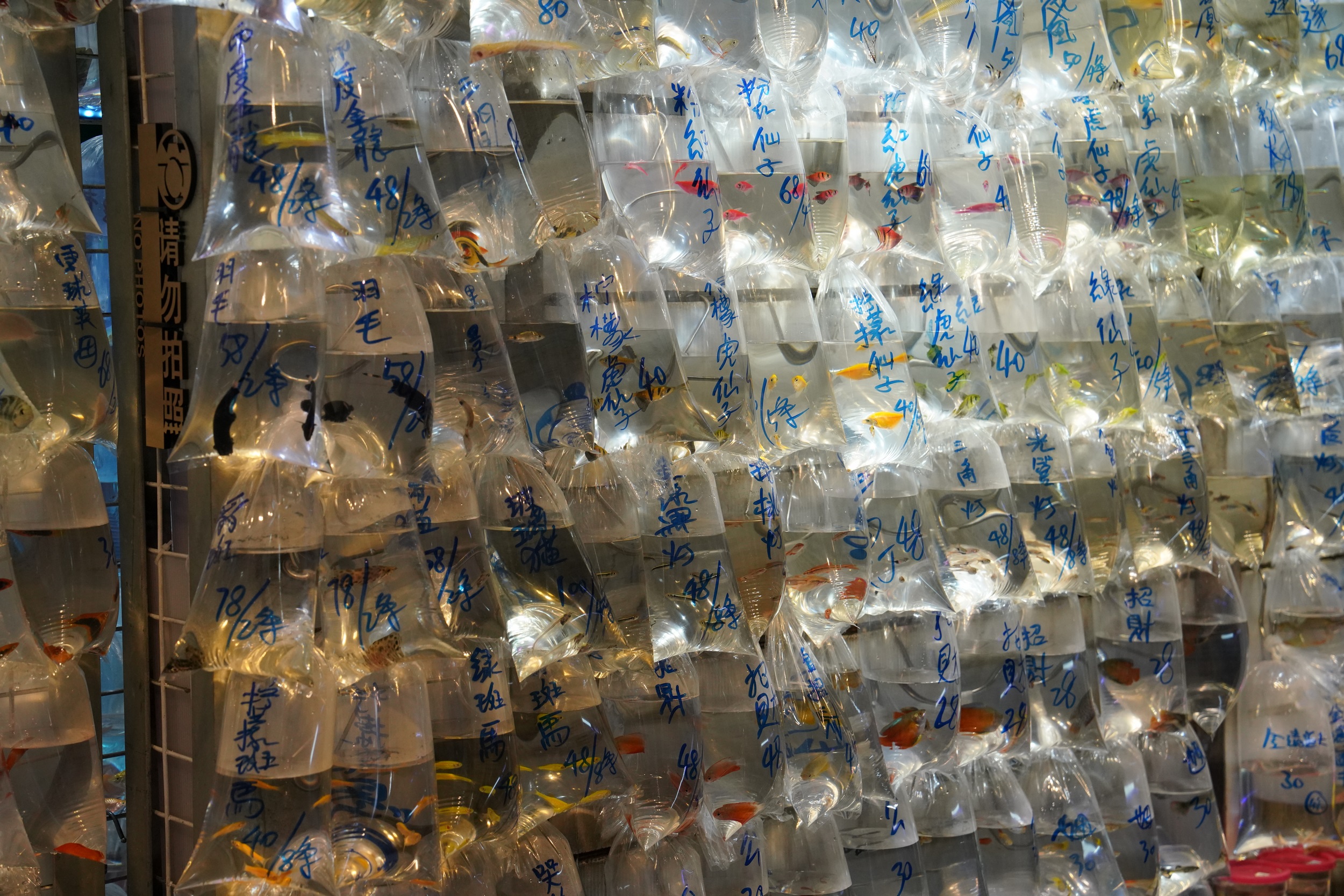 Sabbatical 2 Blog 036