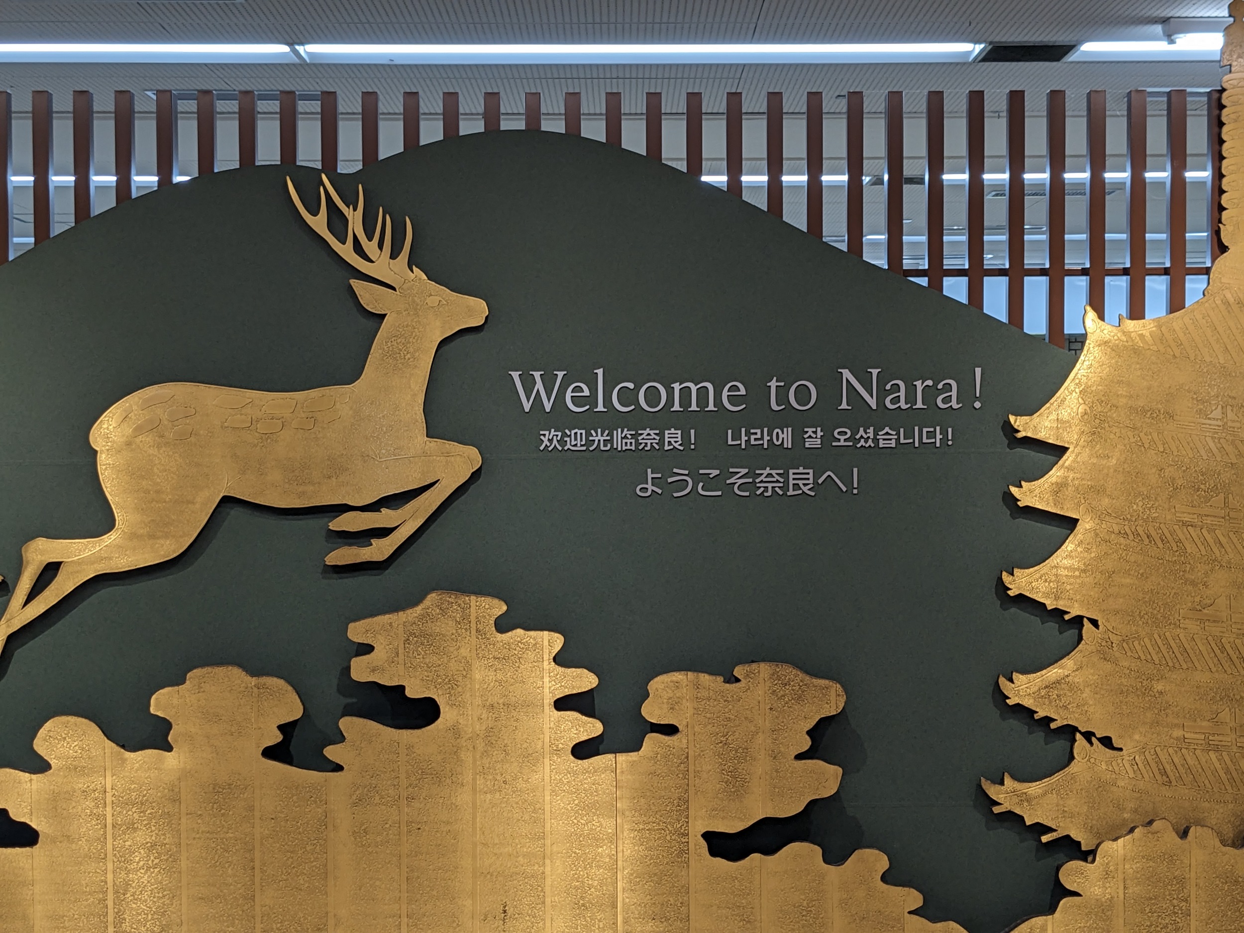 Sabbatical 2 Blog 138