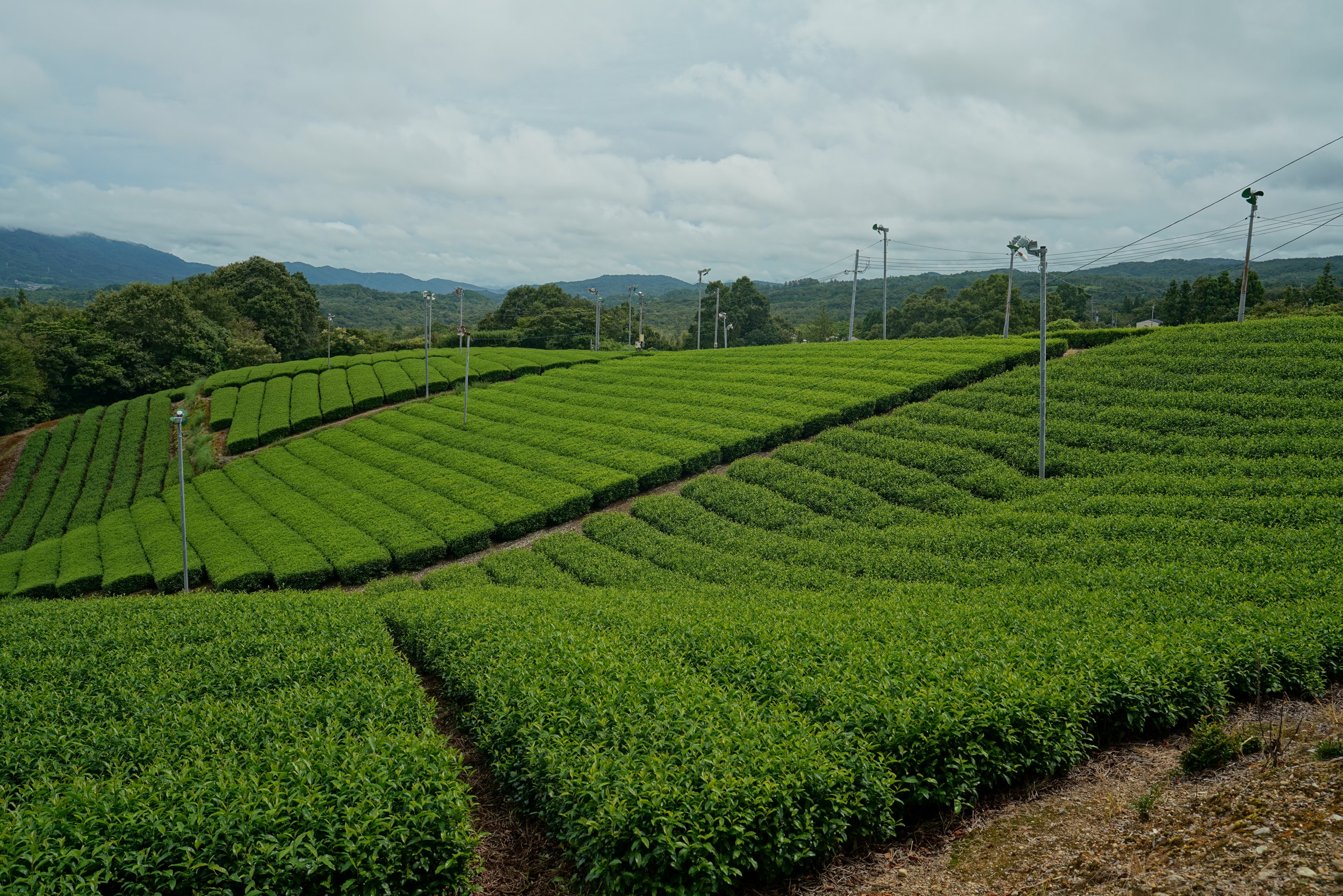 Sabbatical 2 Blog 168