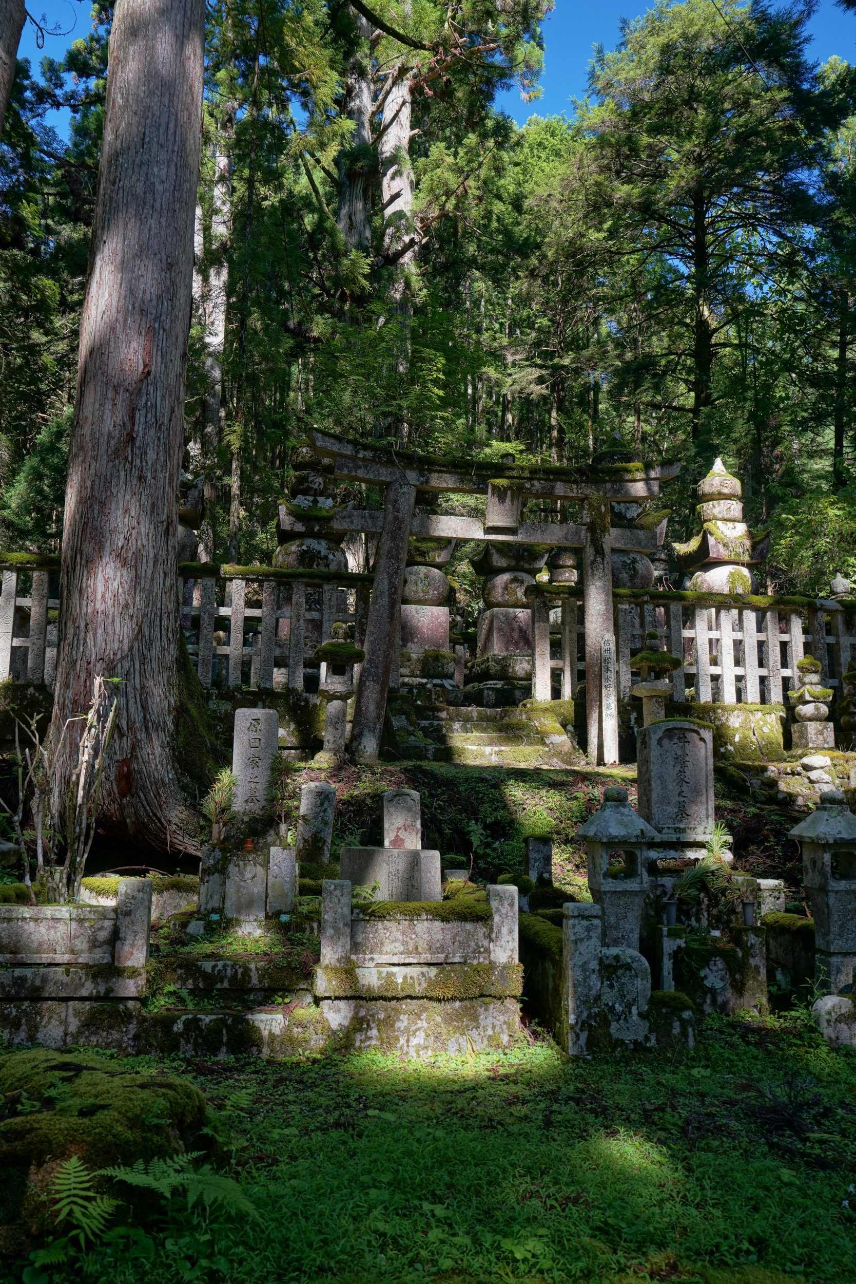 Sabbatical 2 Blog 189