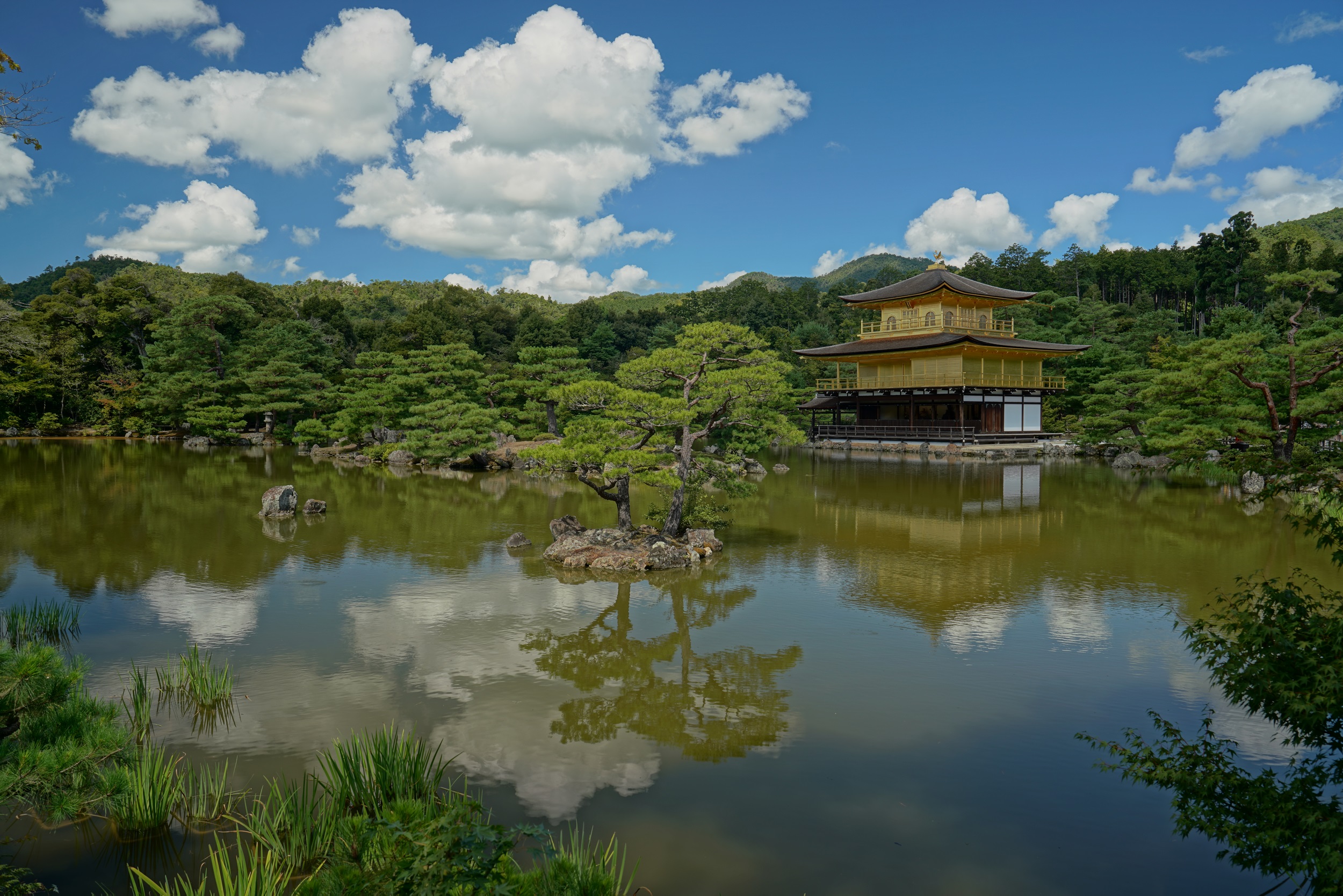 Kinkaku-ji, offensichtlich der goldene tempel
