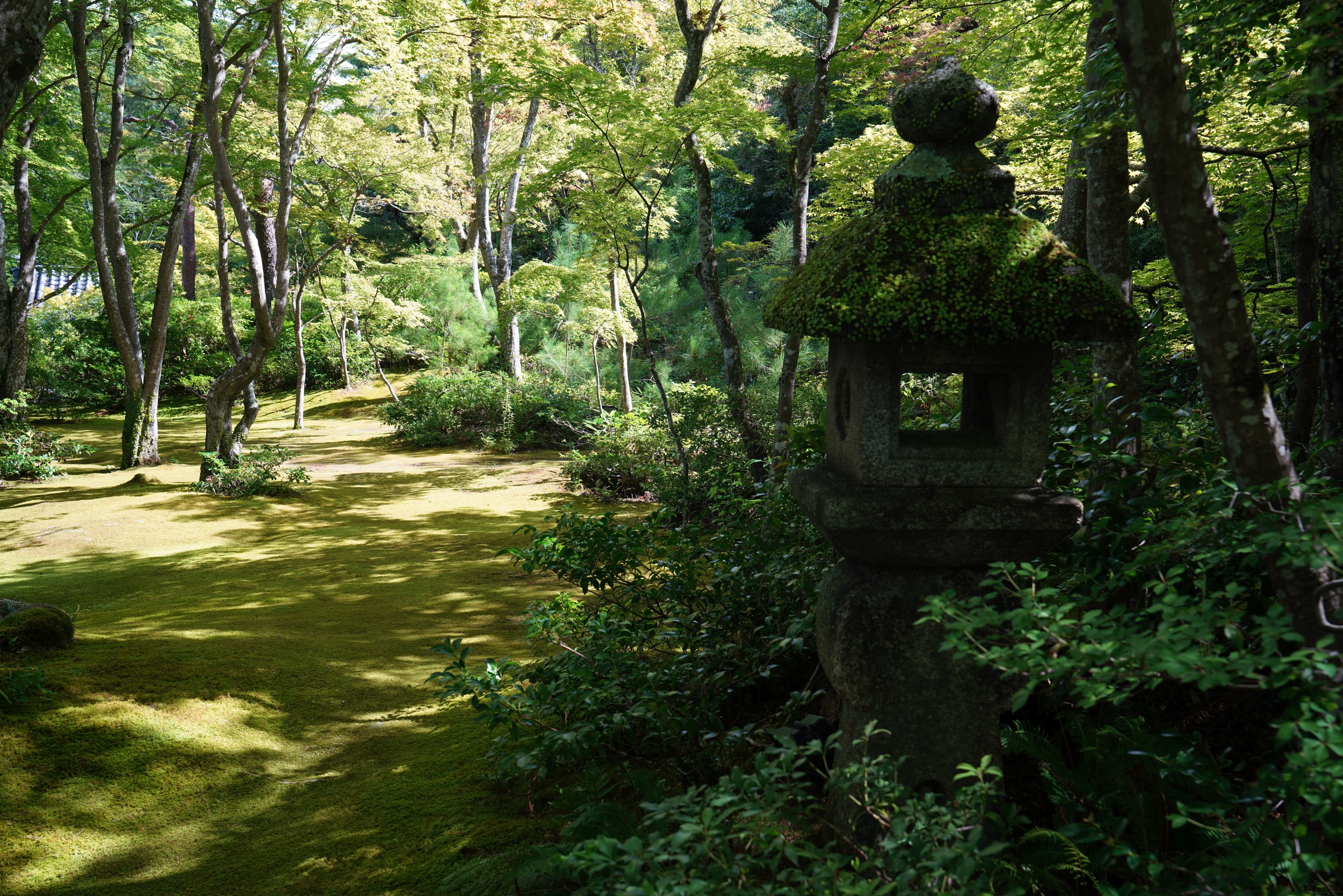 Sabbatical 2 Blog 218