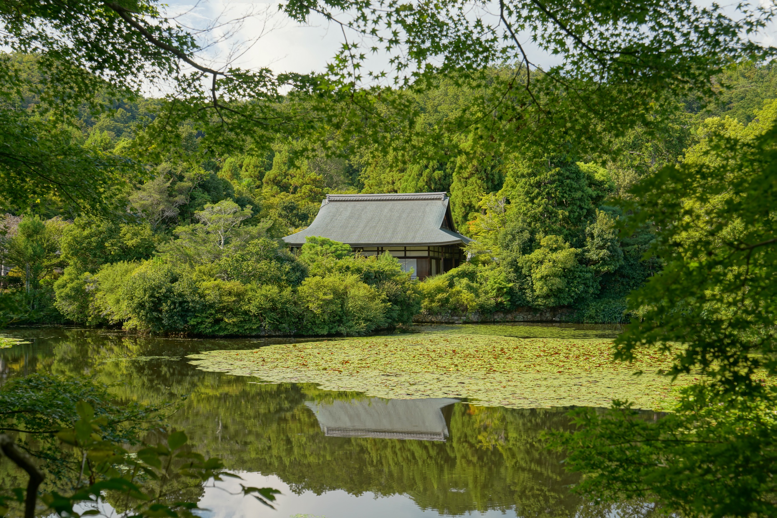 Sabbatical 2 Blog 248