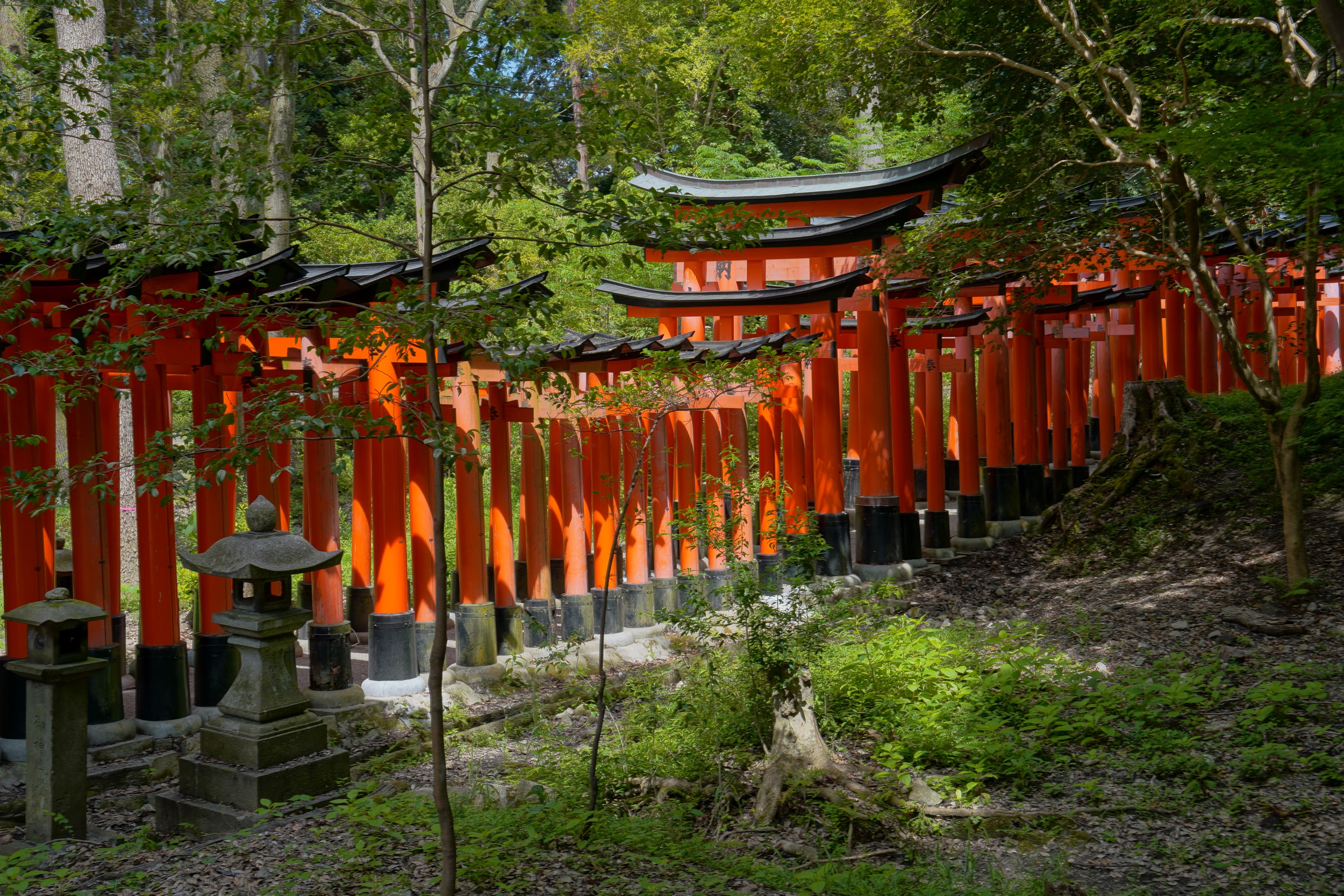 Sabbatical 2 Blog 262