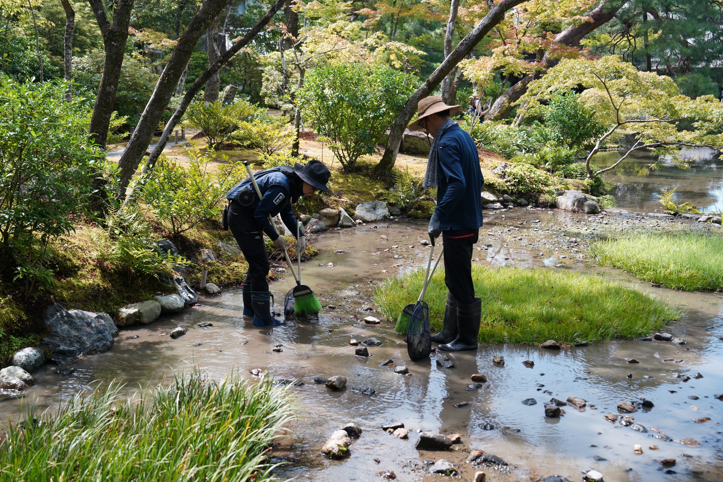 Die Gärtner sammeln tatsächlich die Blätter aus dem Wasser