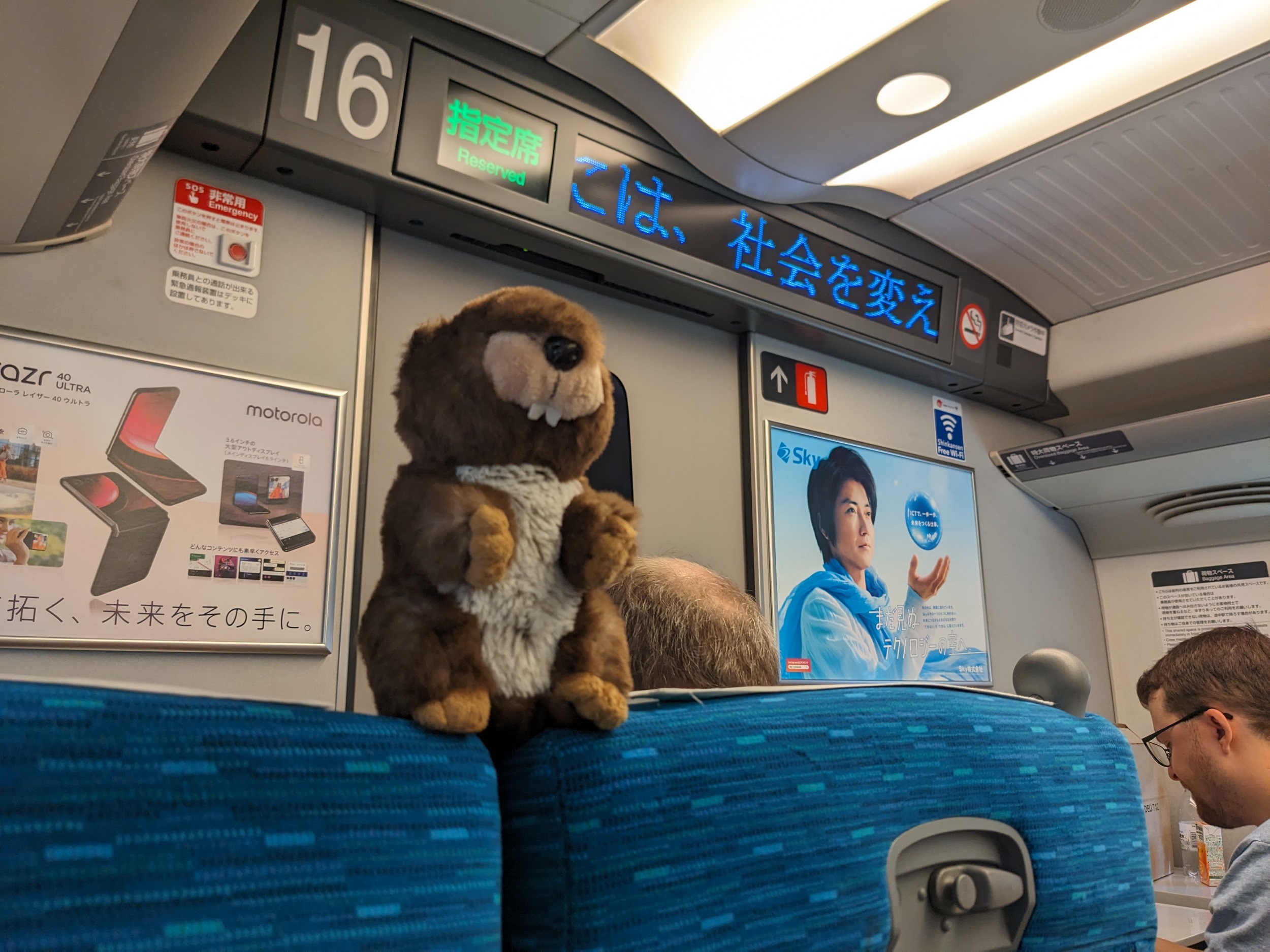 da darf Arthur nicht fehlen