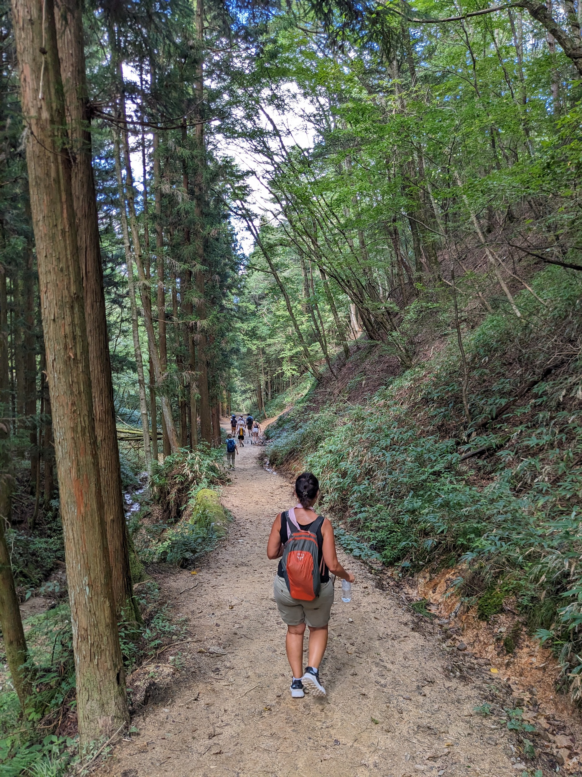 Sabbatical 2 Blog 306