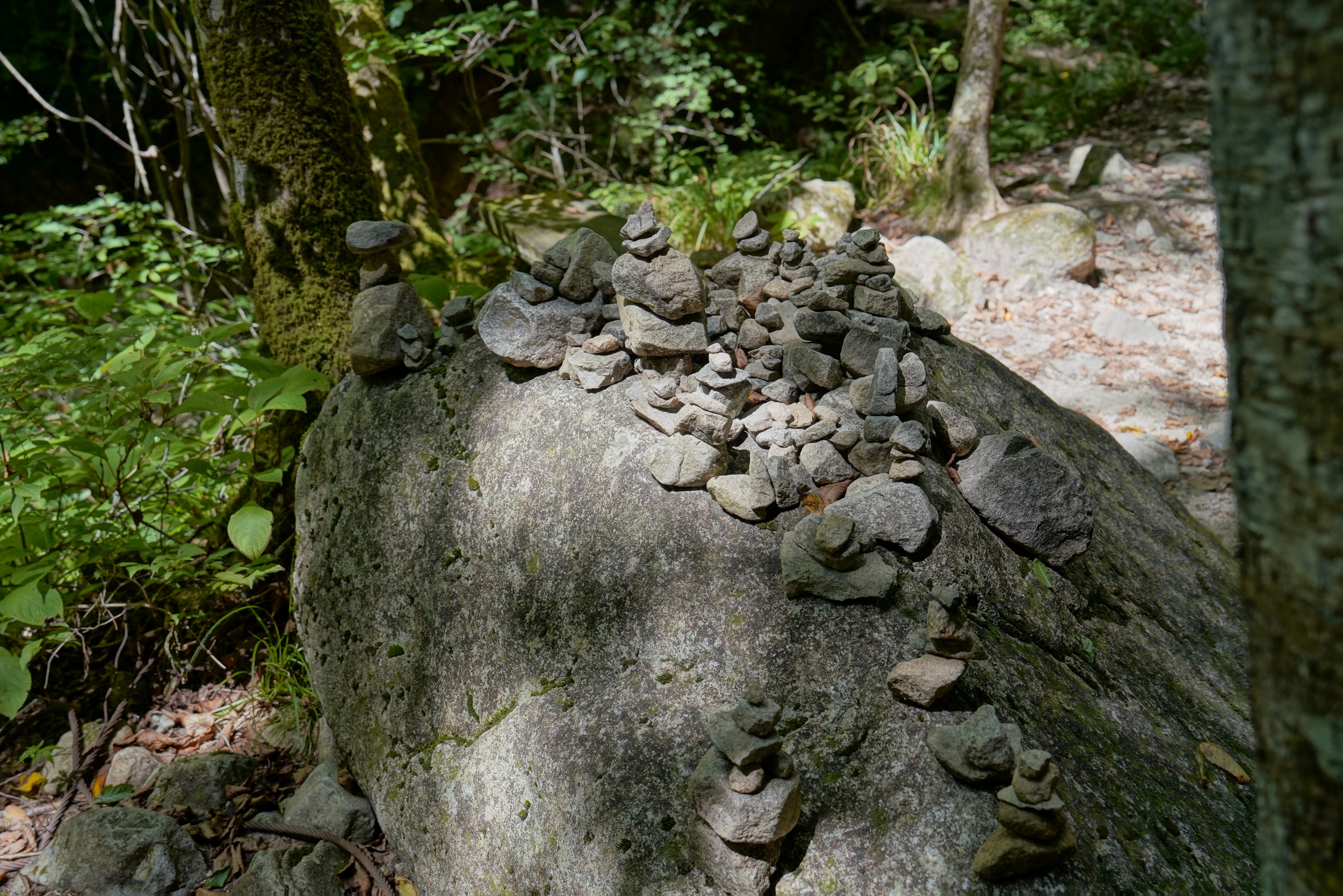 Sabbatical 2 Blog 310