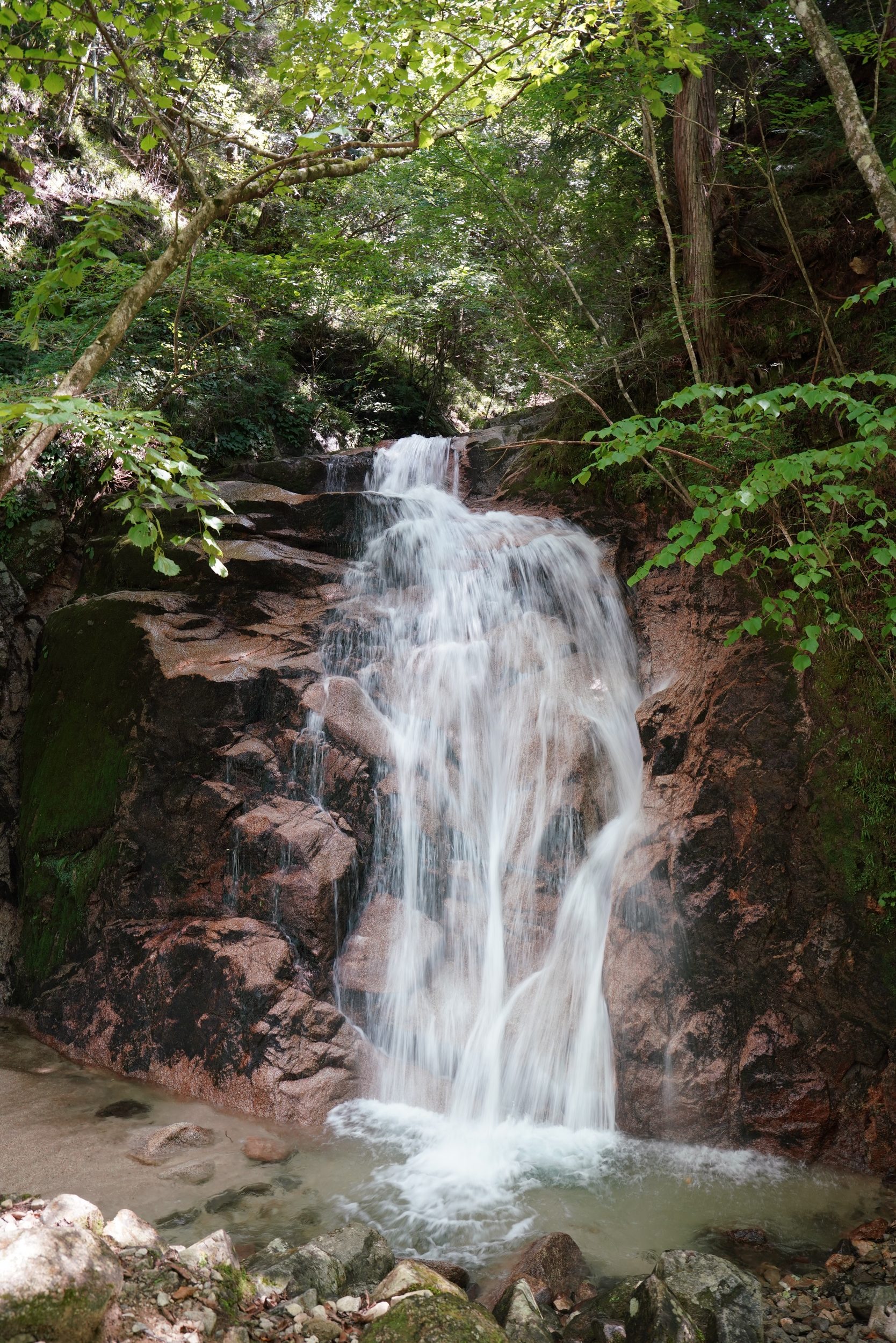 Sabbatical 2 Blog 311