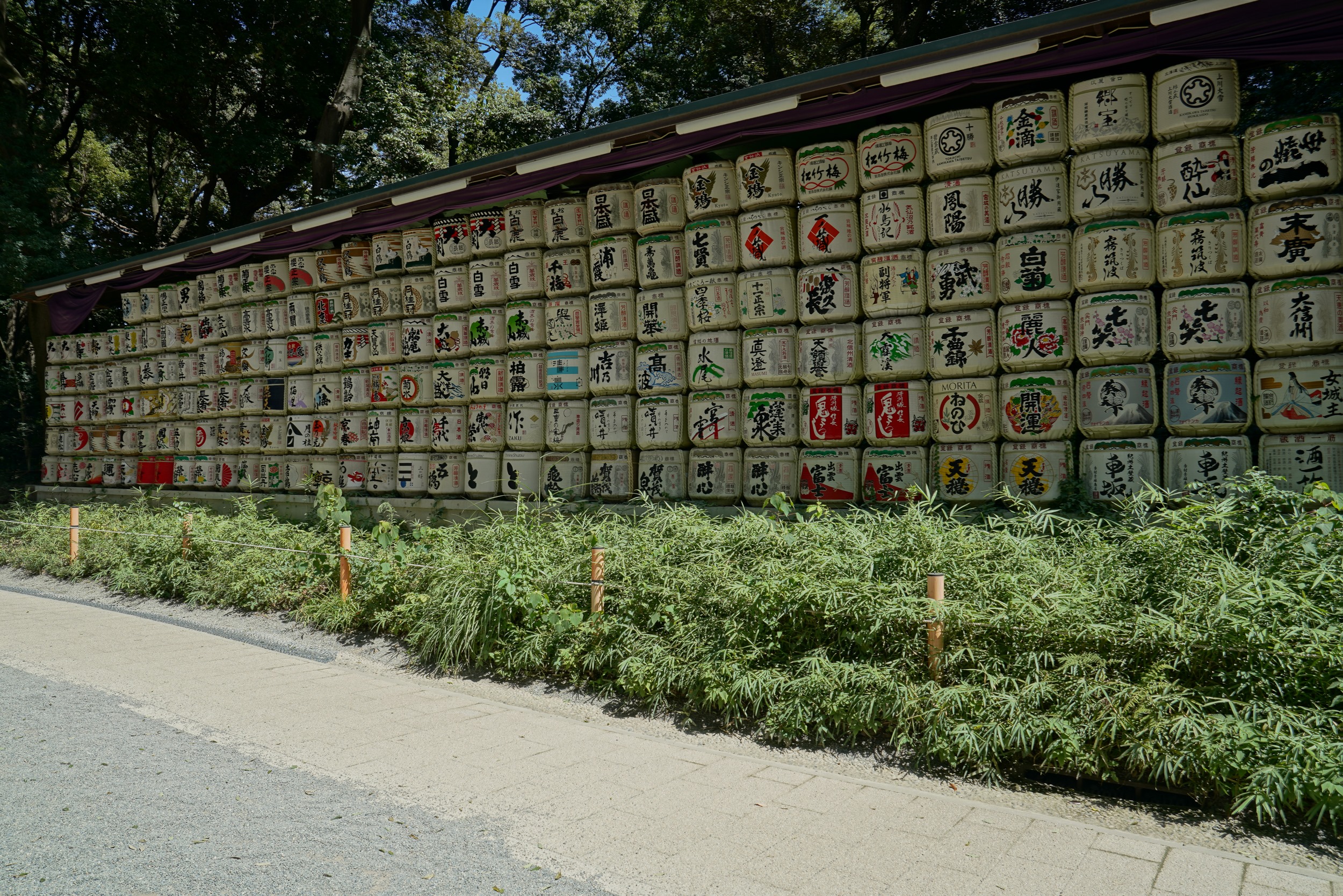 Sabbatical 2 Blog 346