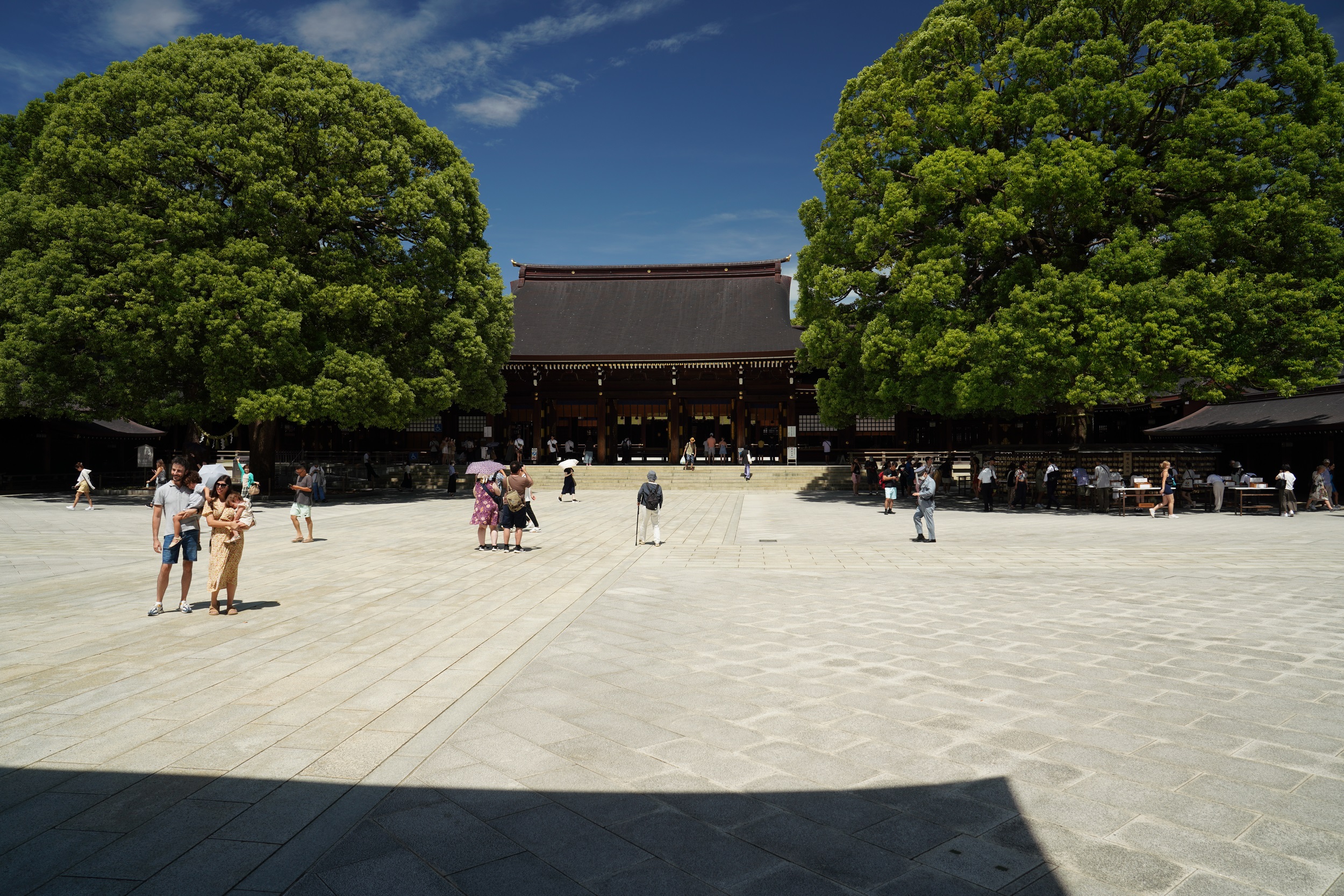 Sabbatical 2 Blog 347