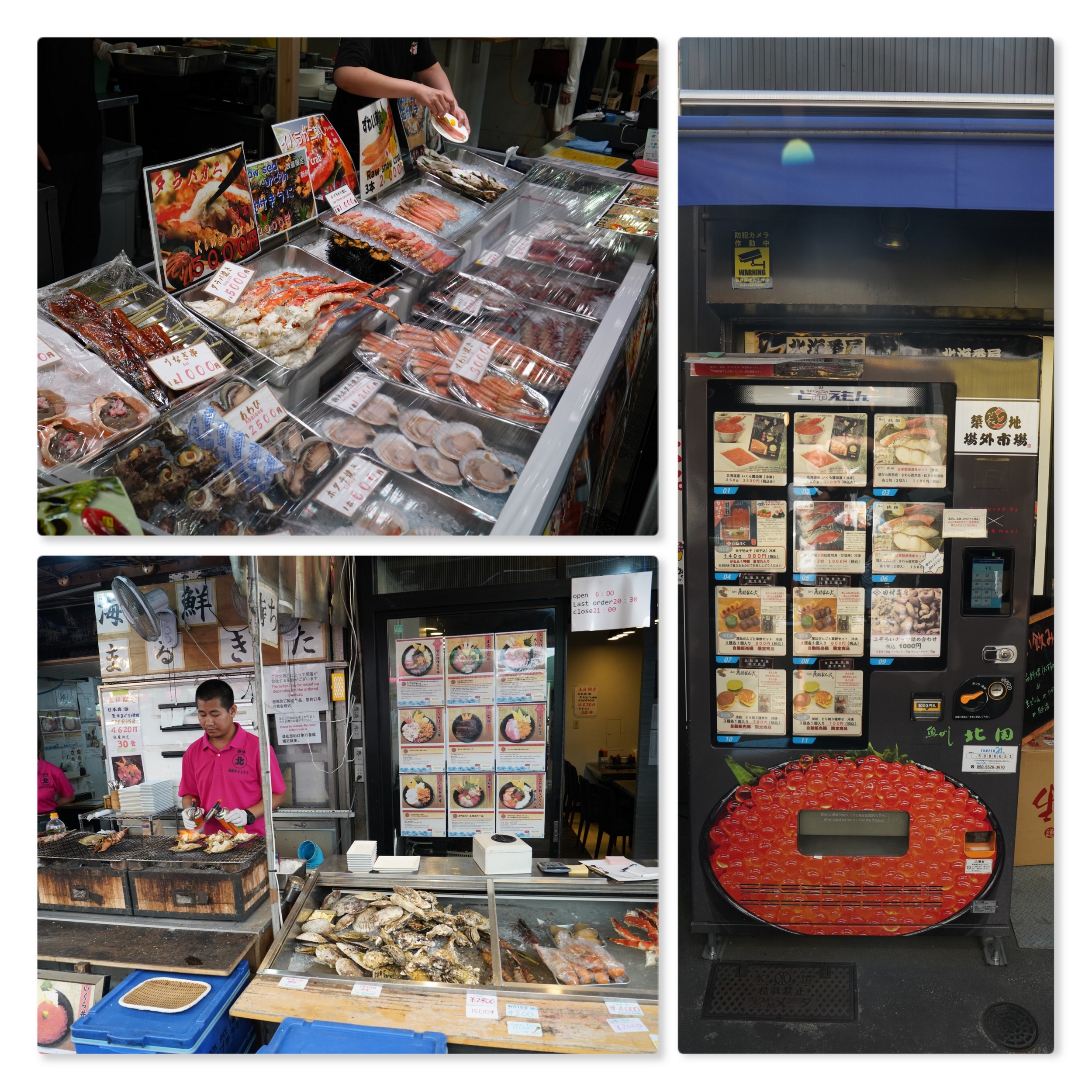 Sabbatical 2 Blog 371