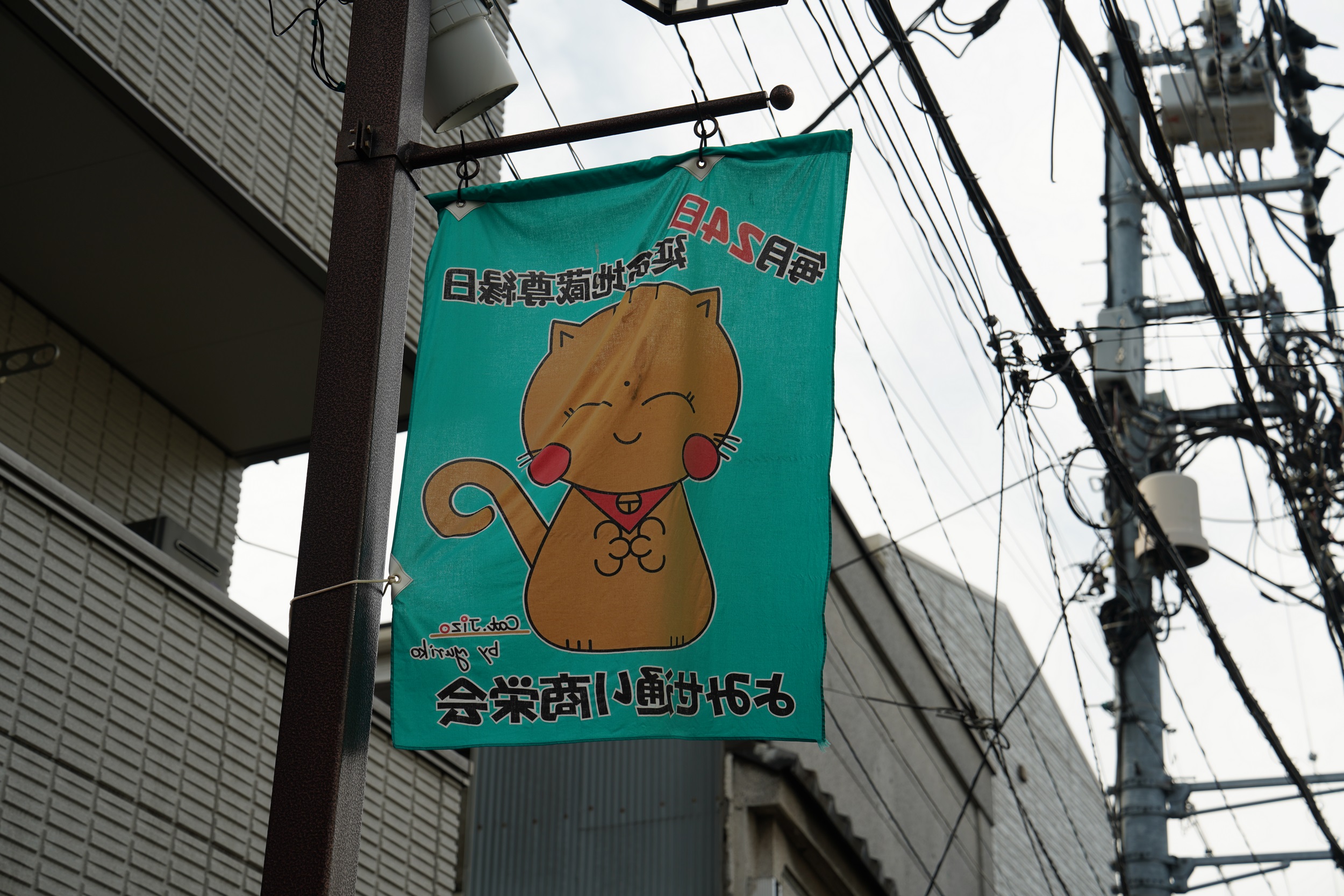 Yanaky - Katzenstrassen