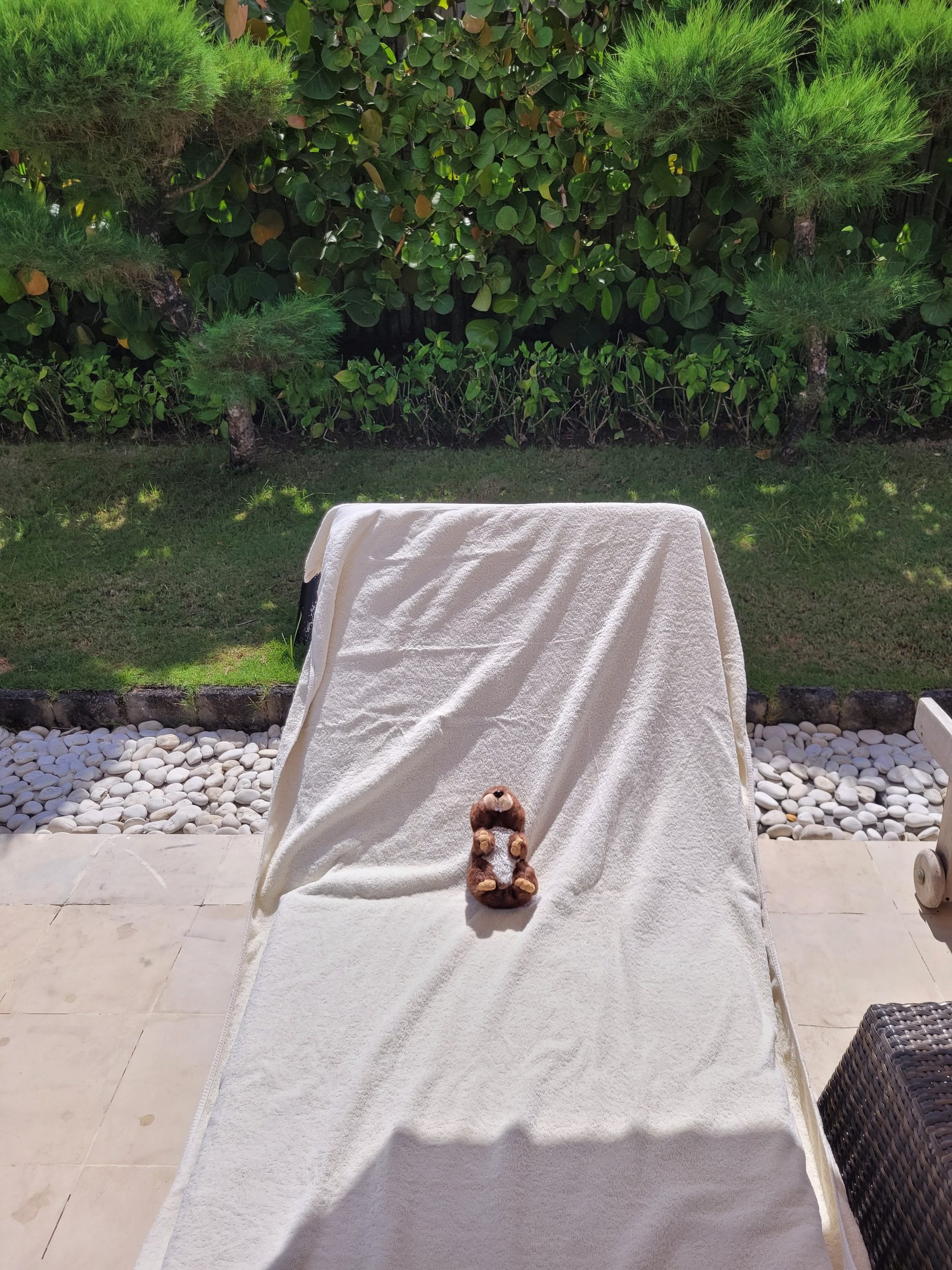 Arthur geniesst die Auszeit in der Sonne