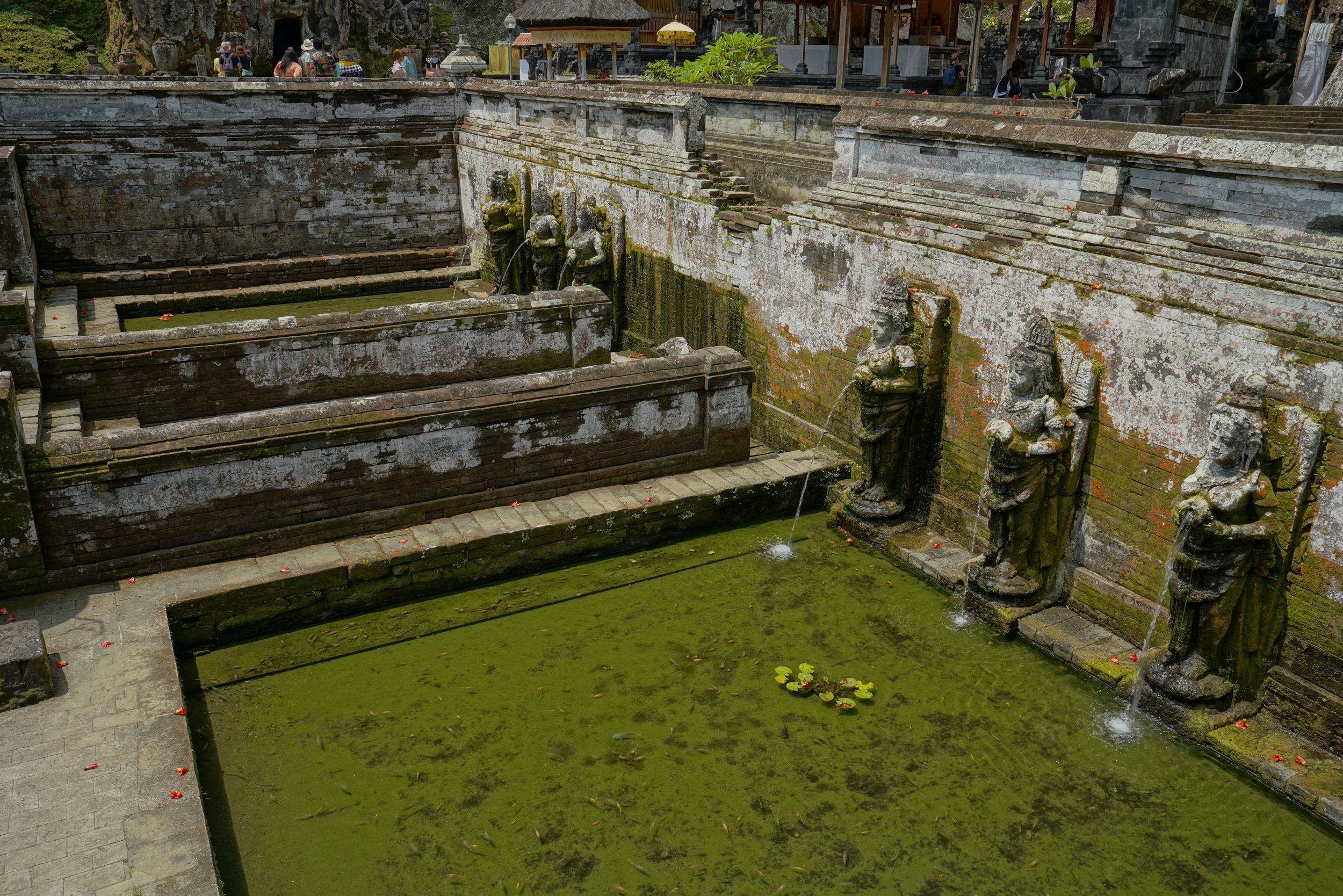 Sabbatical 2 Blog 460