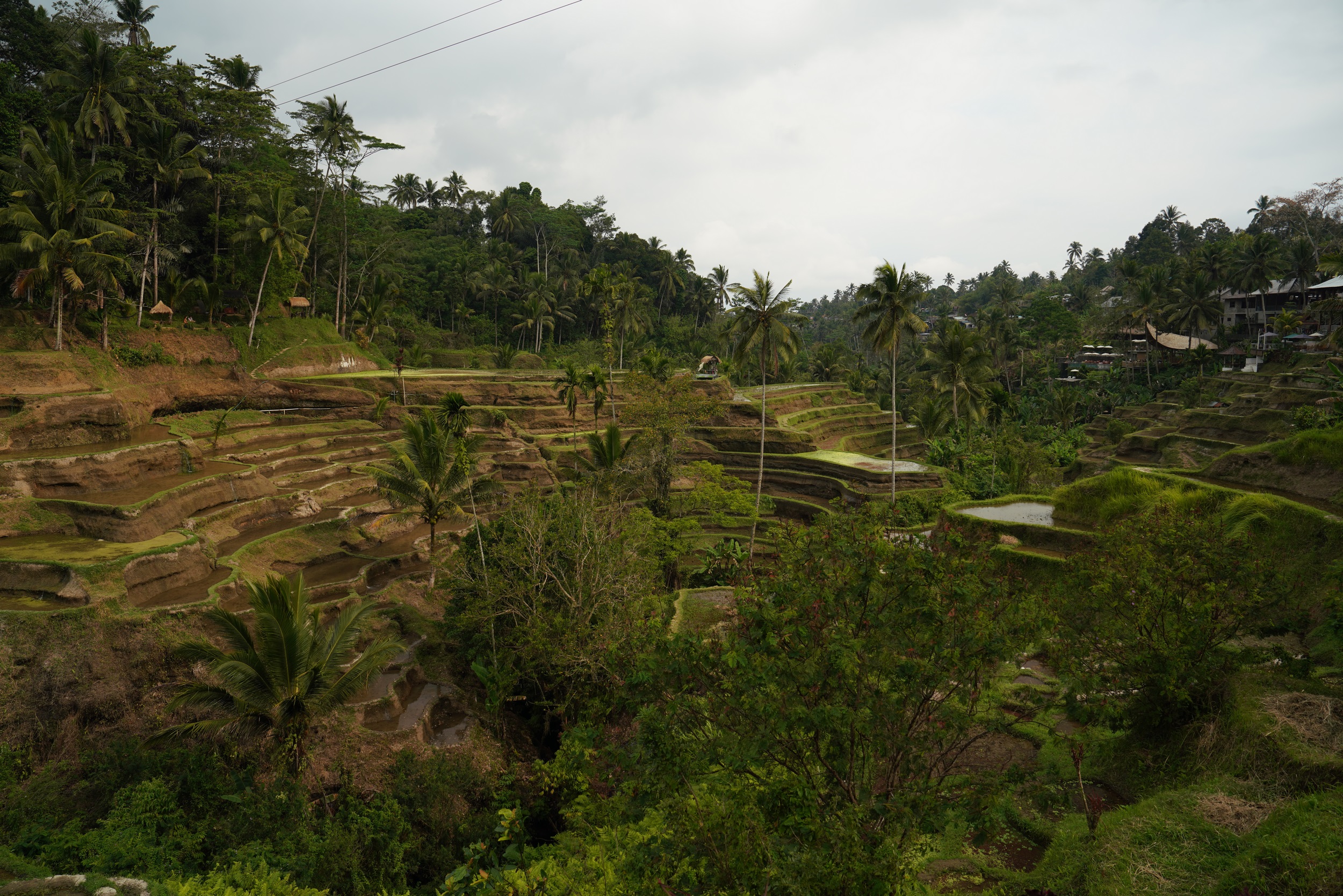 Sabbatical 2 Blog 479