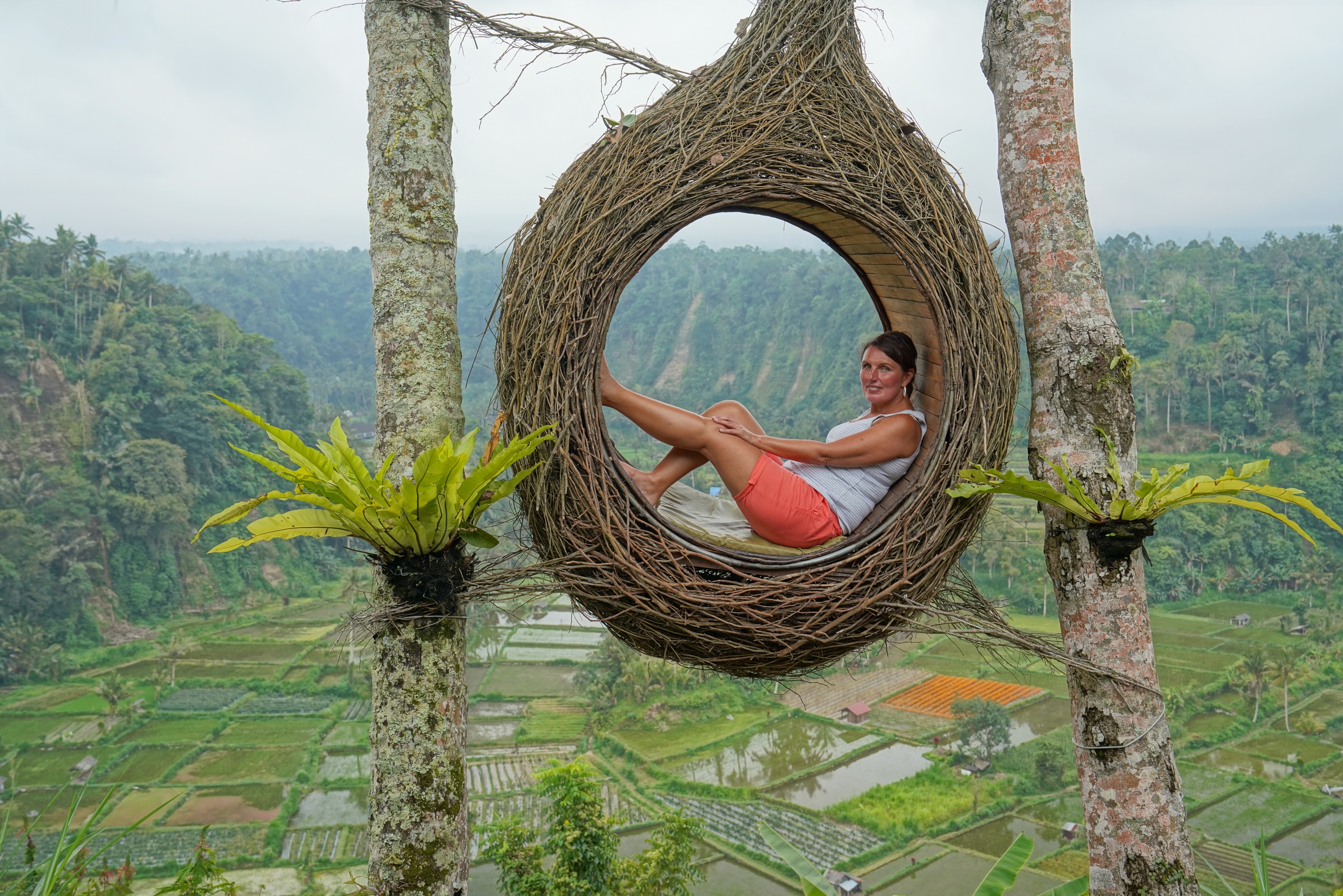 Sabbatical 2 Blog 499