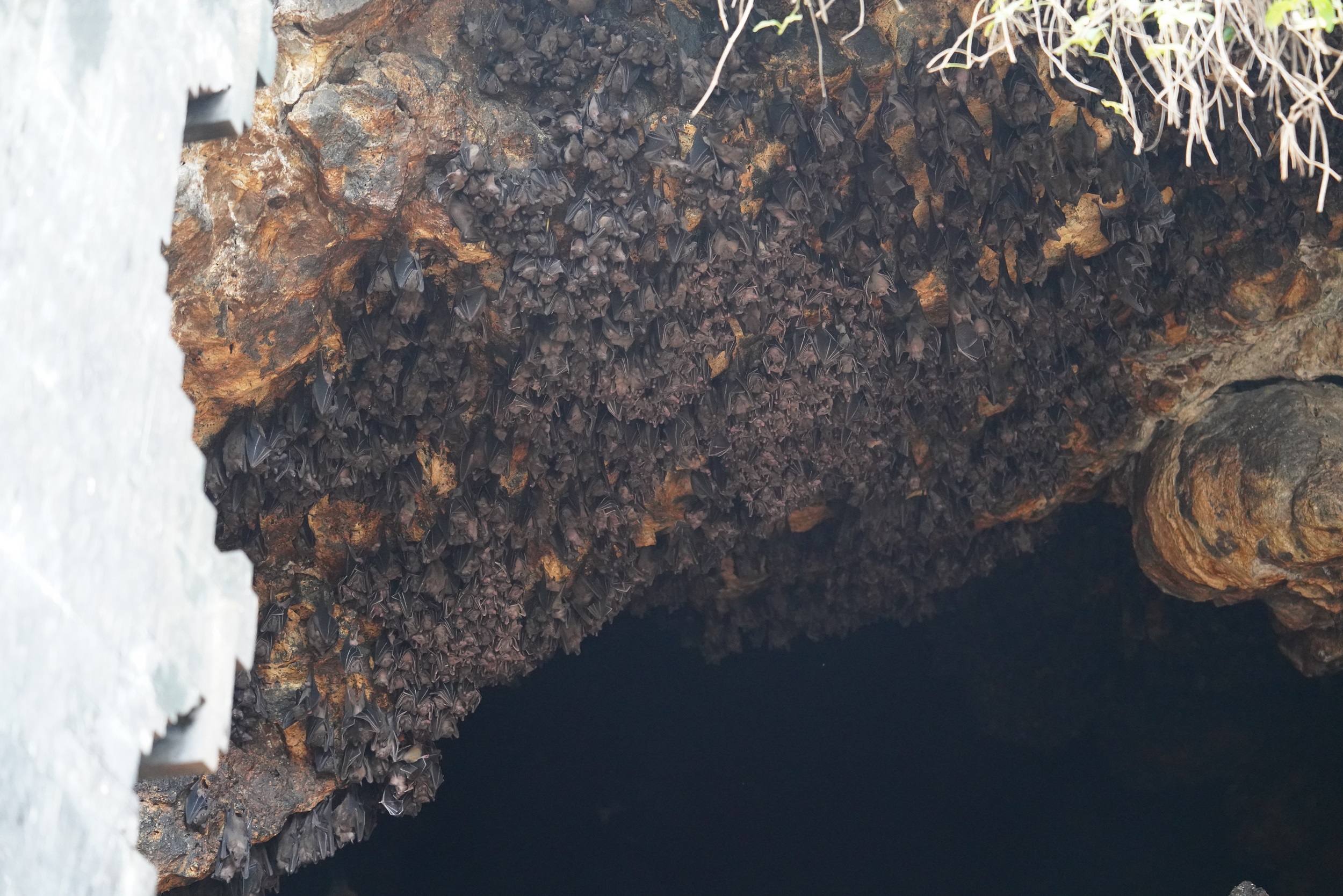 Sabbatical 2 Blog 506