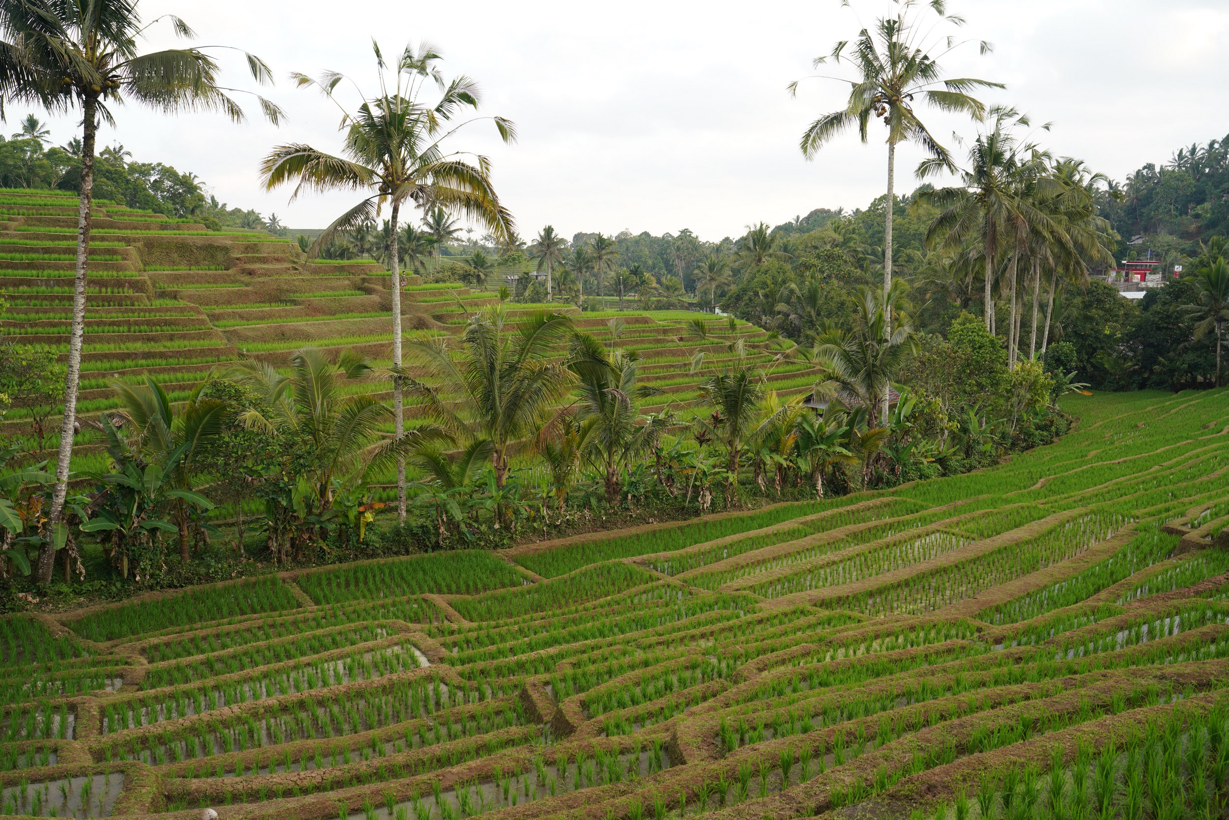 Sabbatical 2 Blog 555