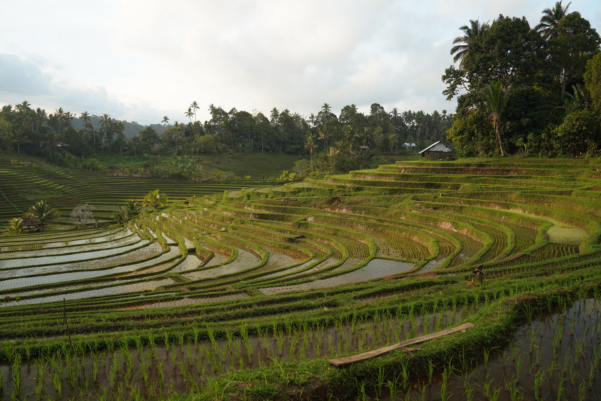 Sabbatical 2 Blog 556