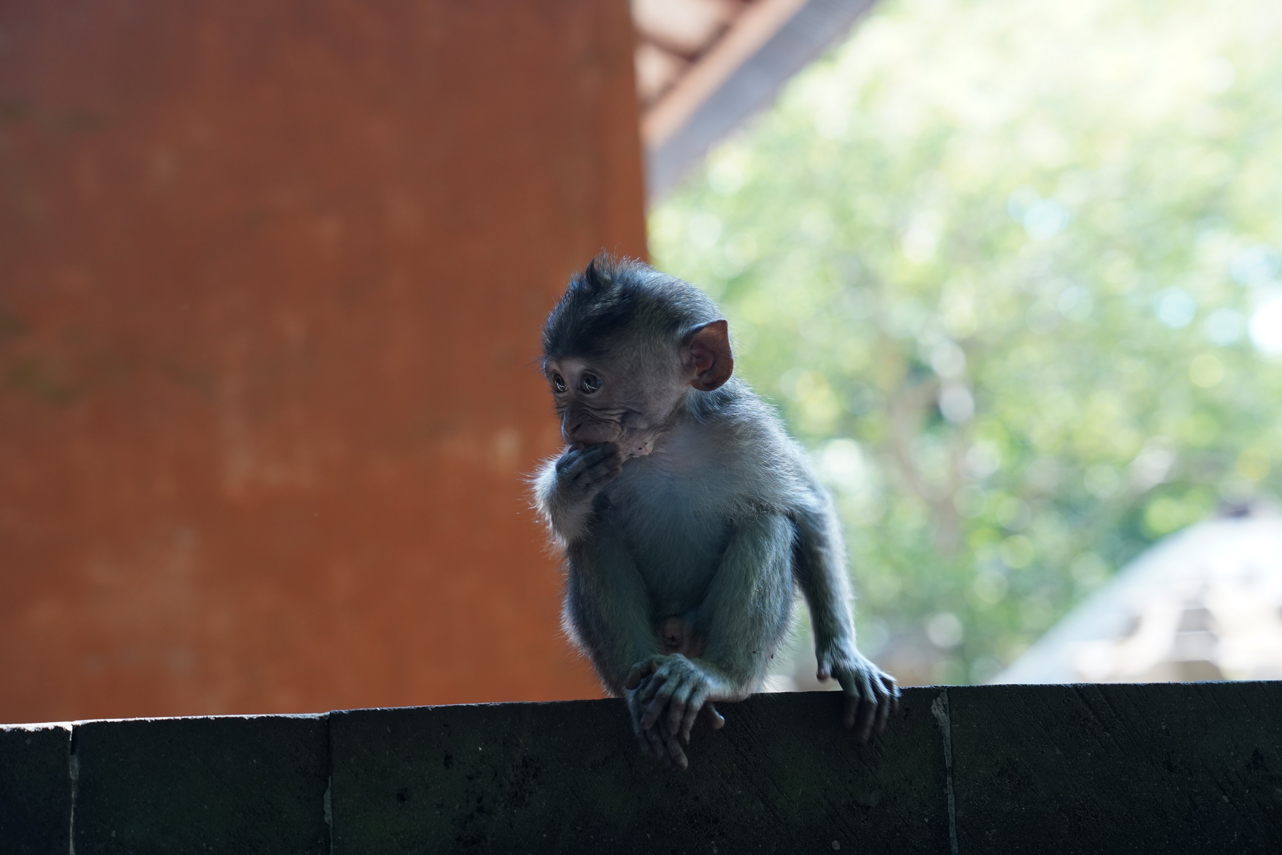 Sabbatical 2 Blog 557