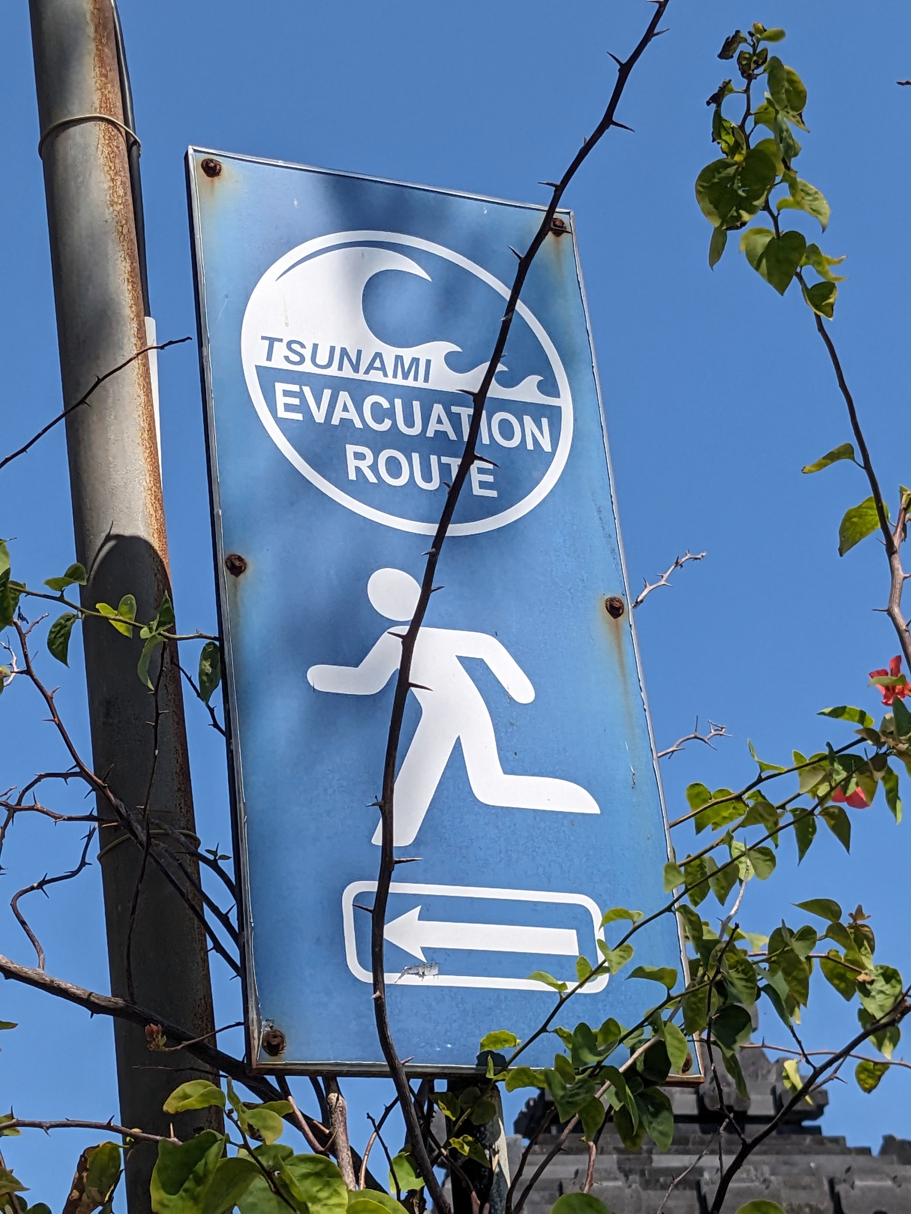 Sieht man häufiger hier, wie auch in Japan